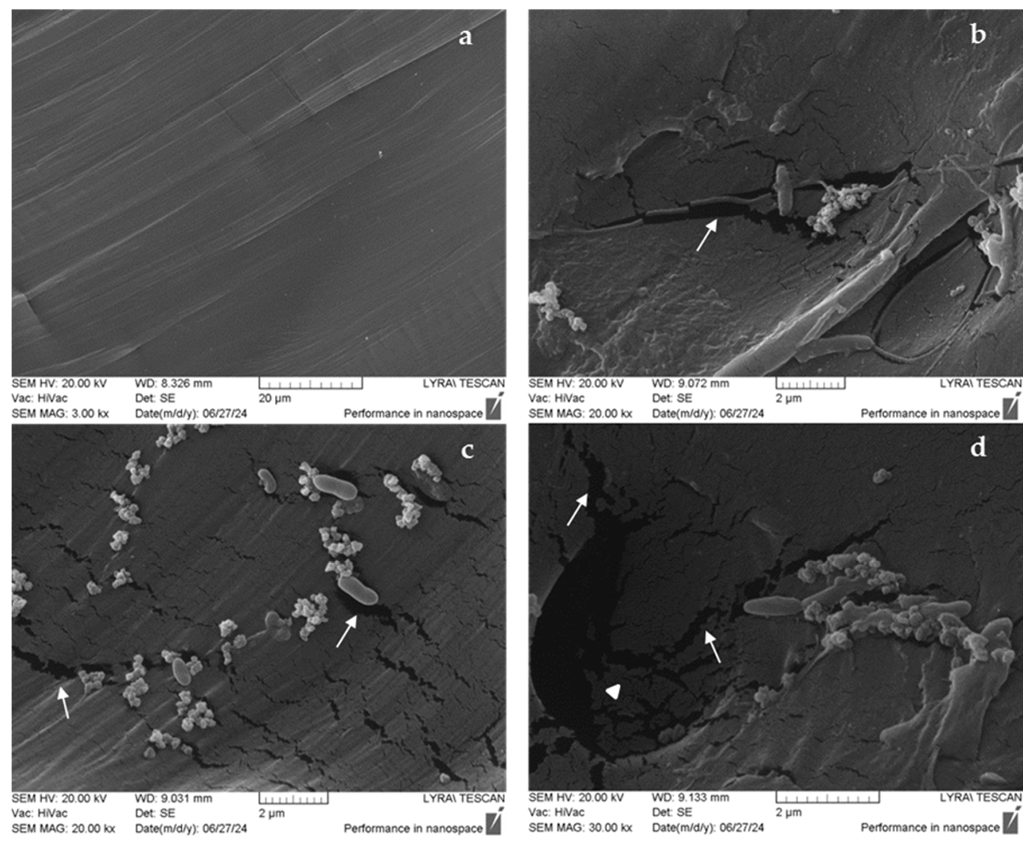 Fermentation 11 00227 g006