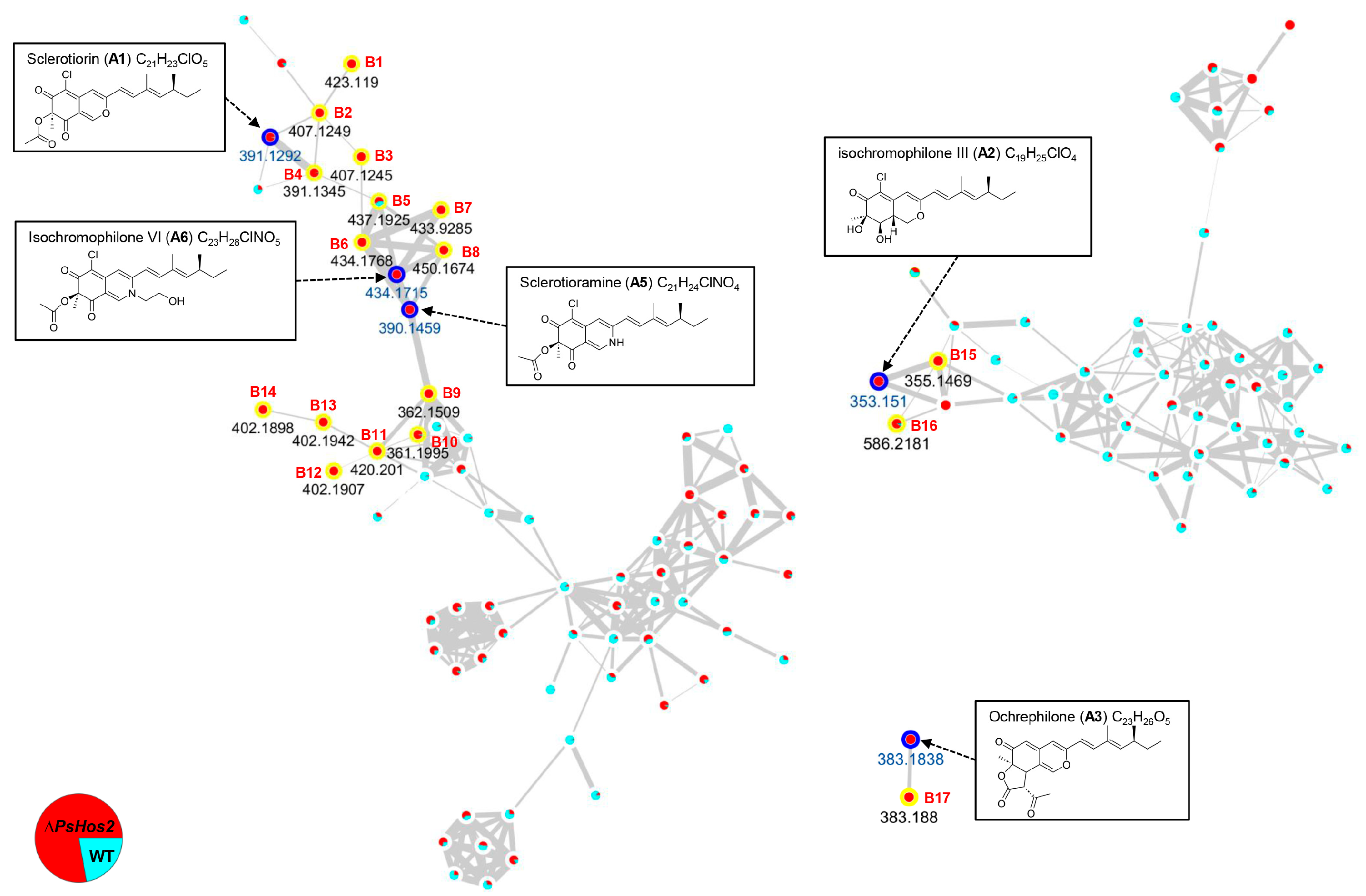 Fermentation 11 00230 g004