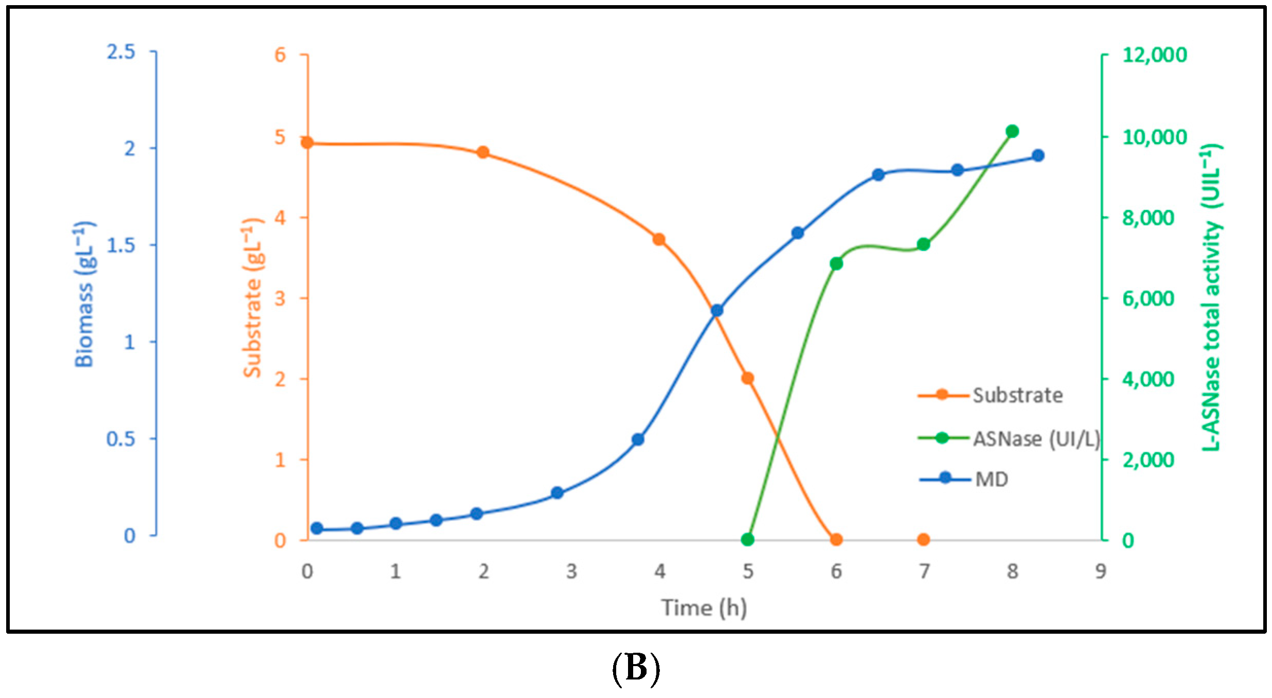Fermentation 11 00239 g005b