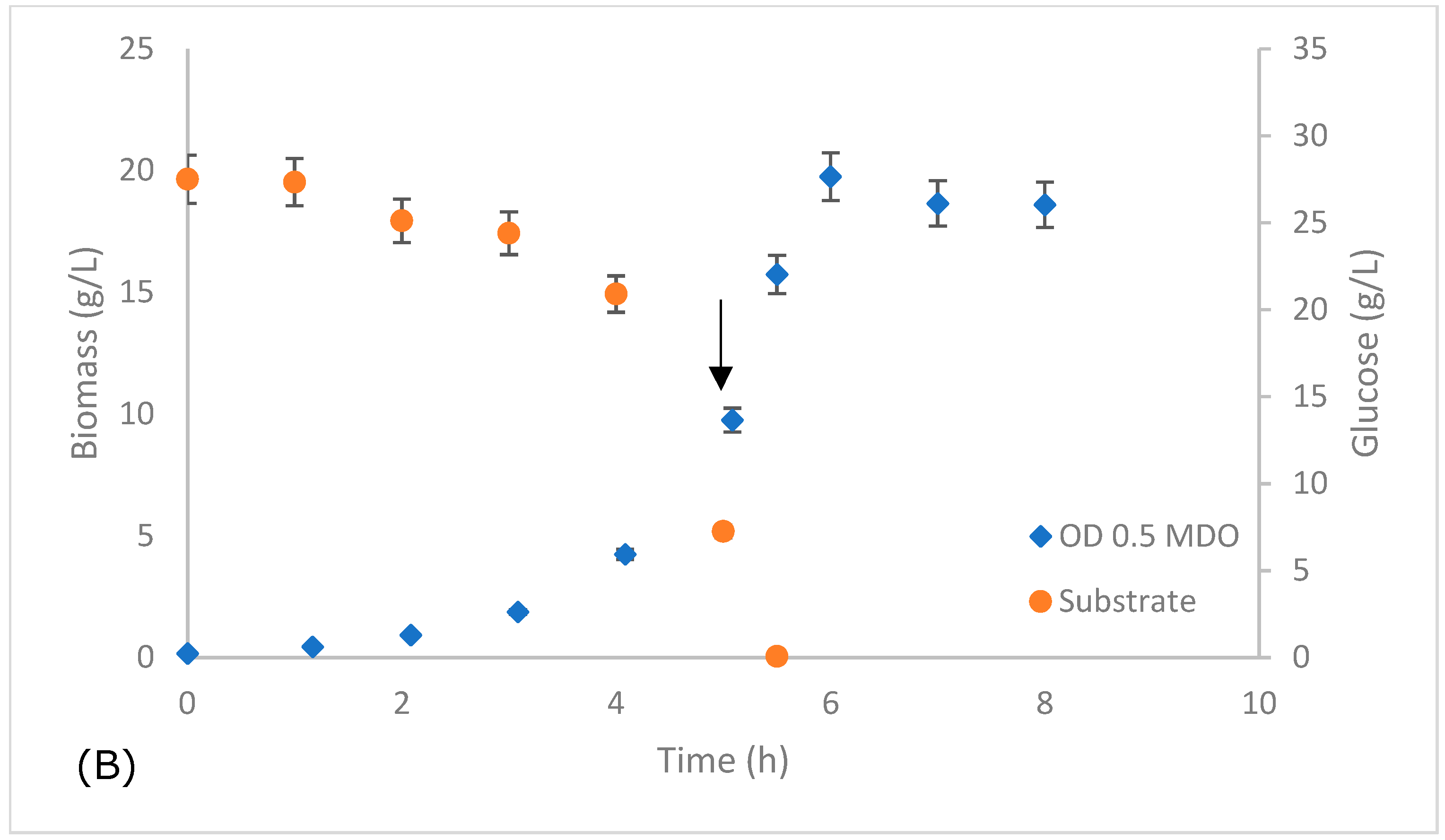 Fermentation 11 00239 g008b