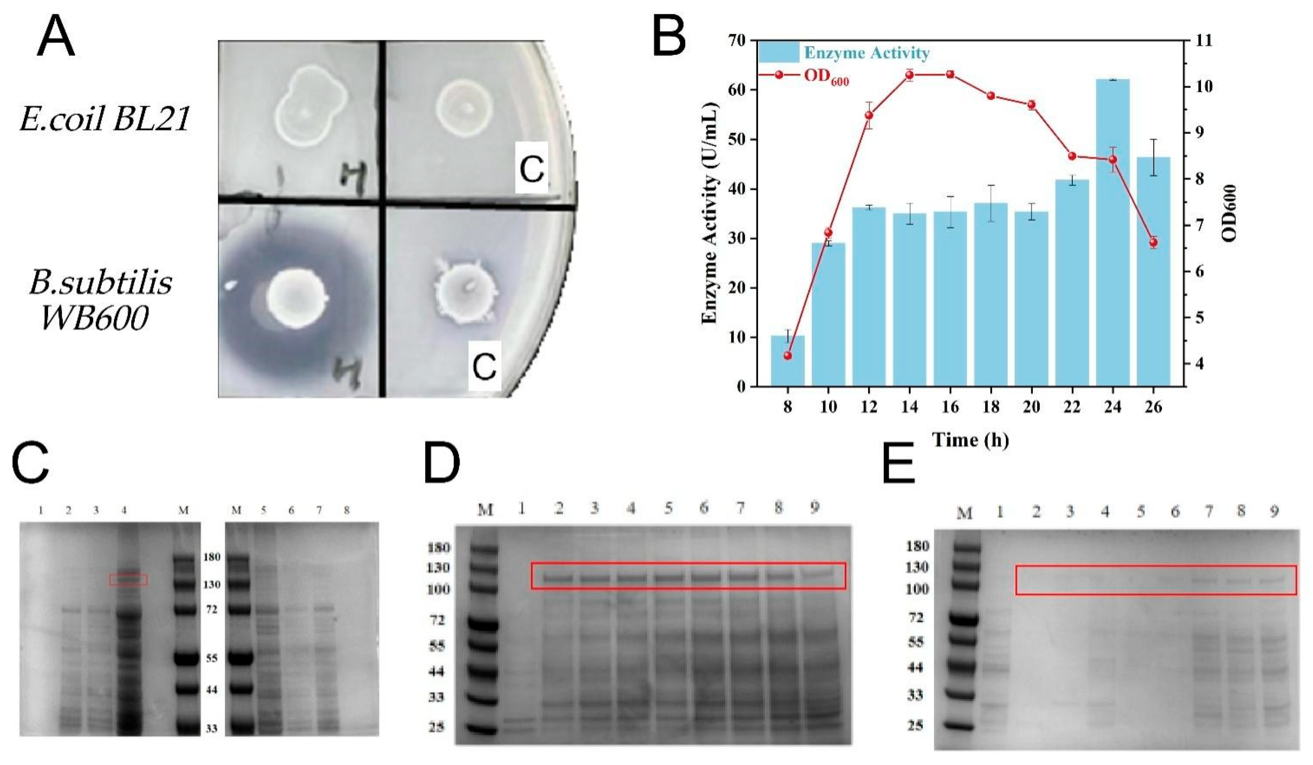 Fermentation 11 00242 g001