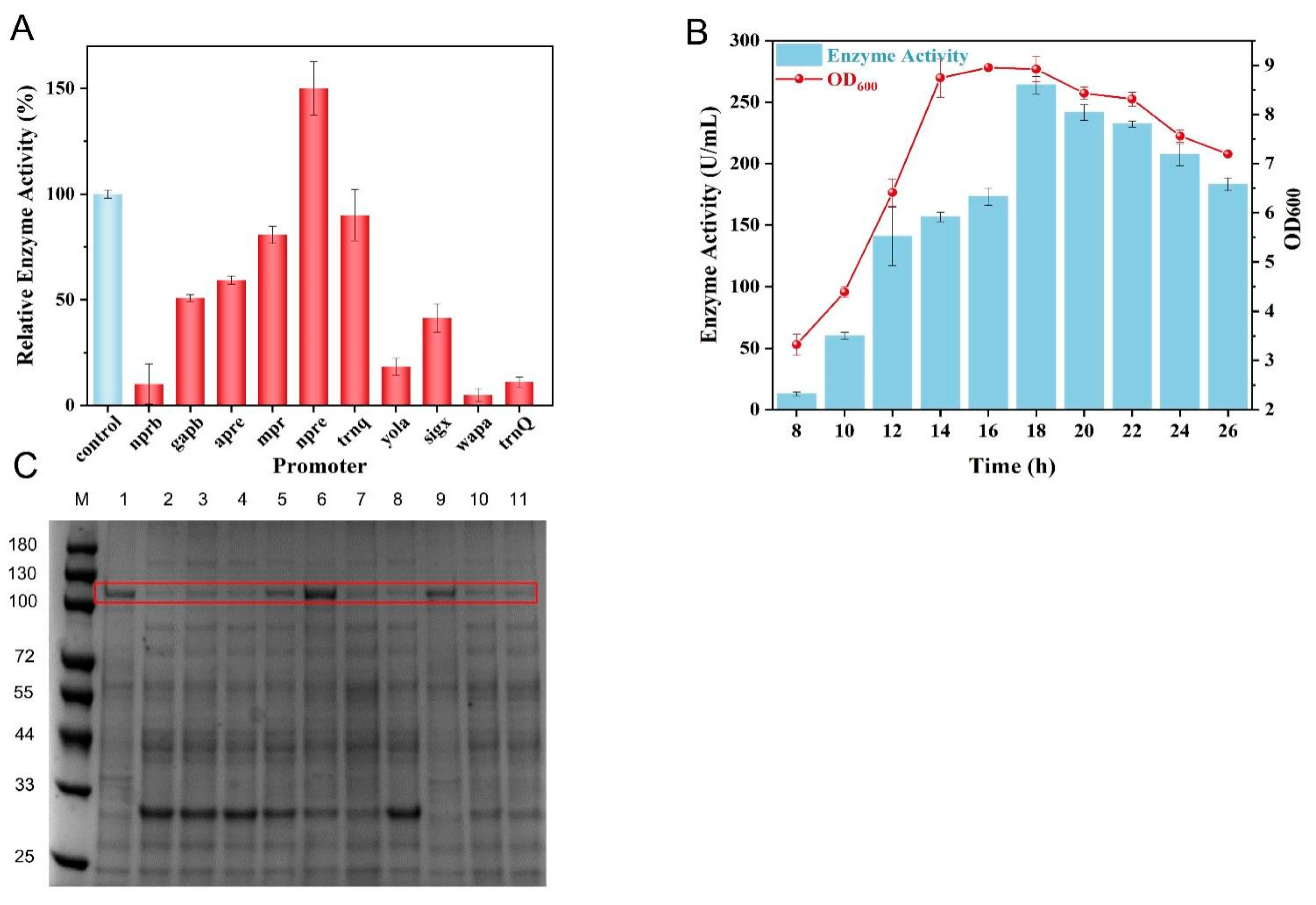 Fermentation 11 00242 g003