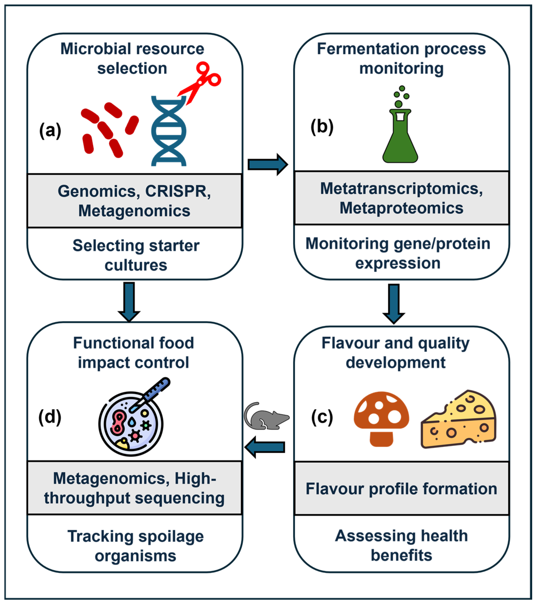 Fermentation 11 00300 g003