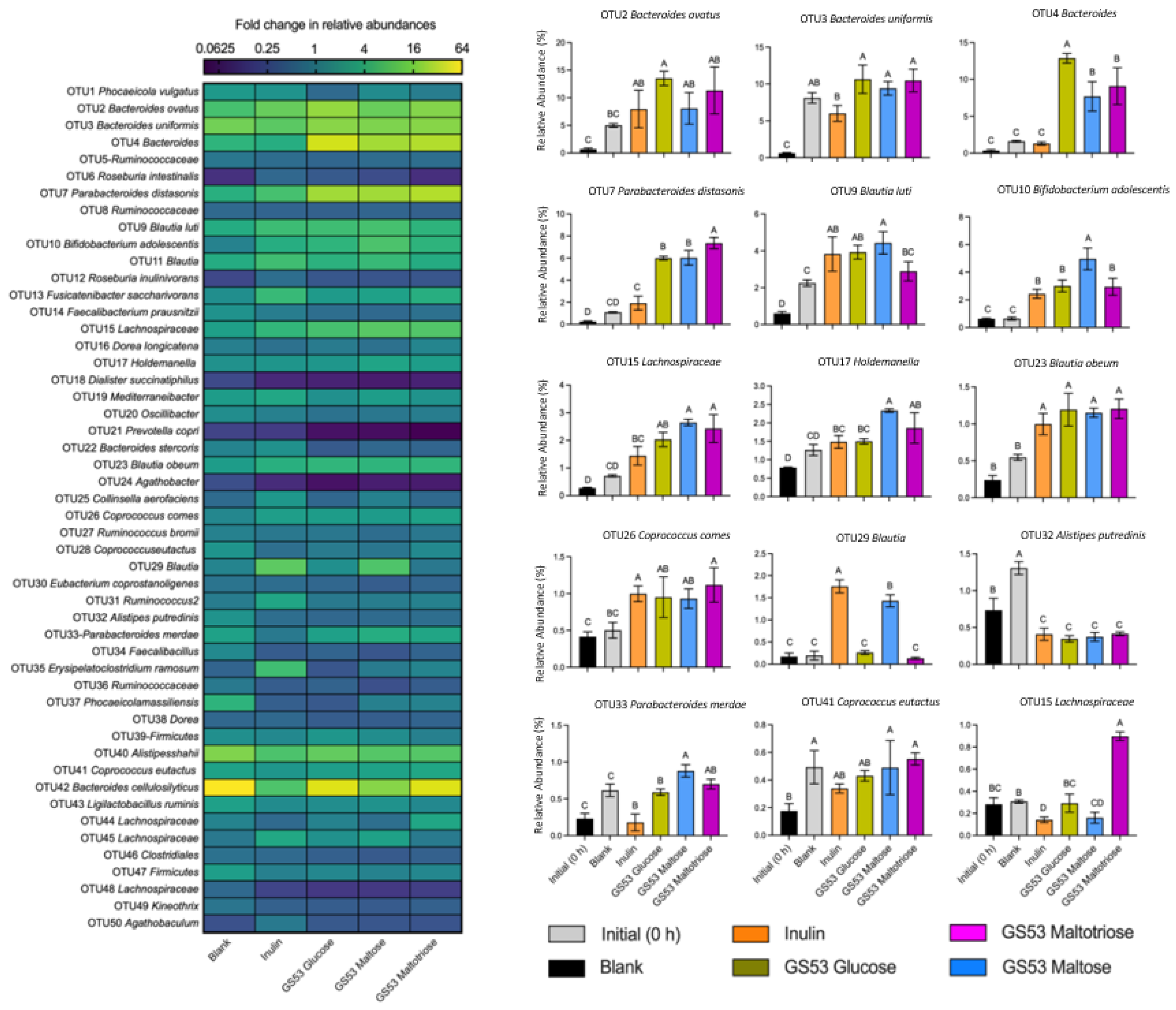 Fermentation 11 00324 g006