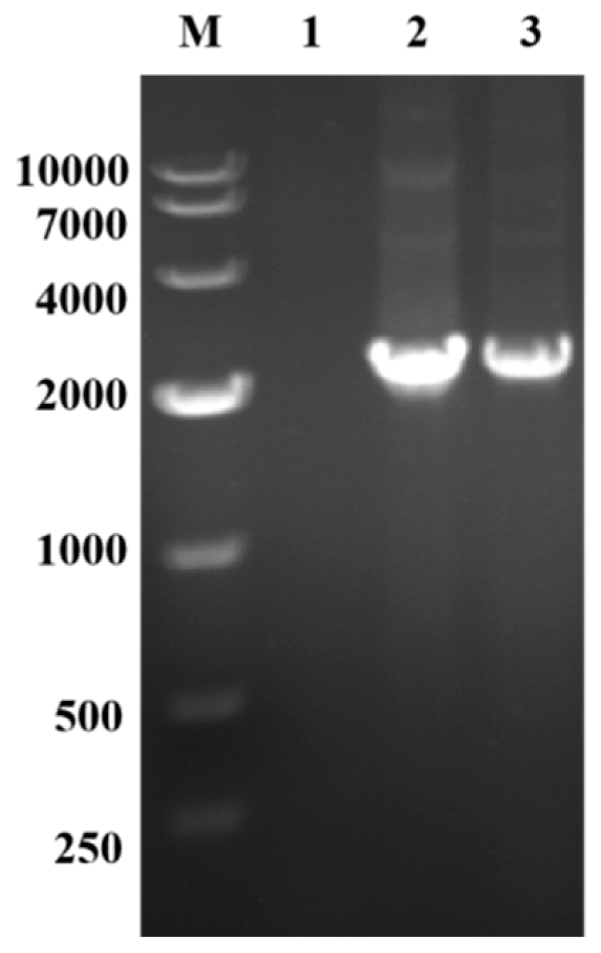 Fermentation 11 00534 g001 Fermentation 11 00534 g001