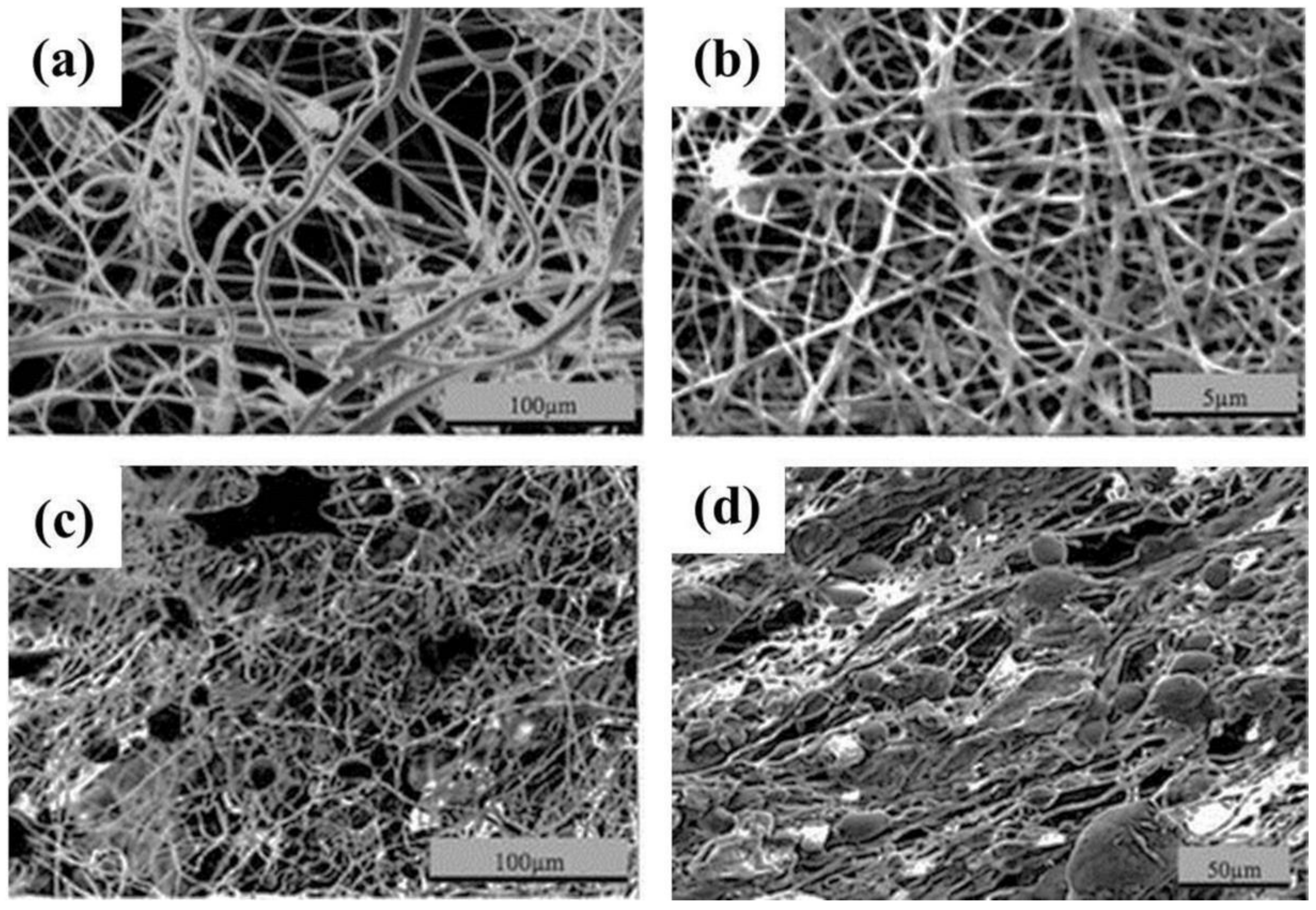 Fibers Free Full Text A Review On Biopolymer Based Fibers Via Electrospinning And Solution Blowing And Their Applications Html