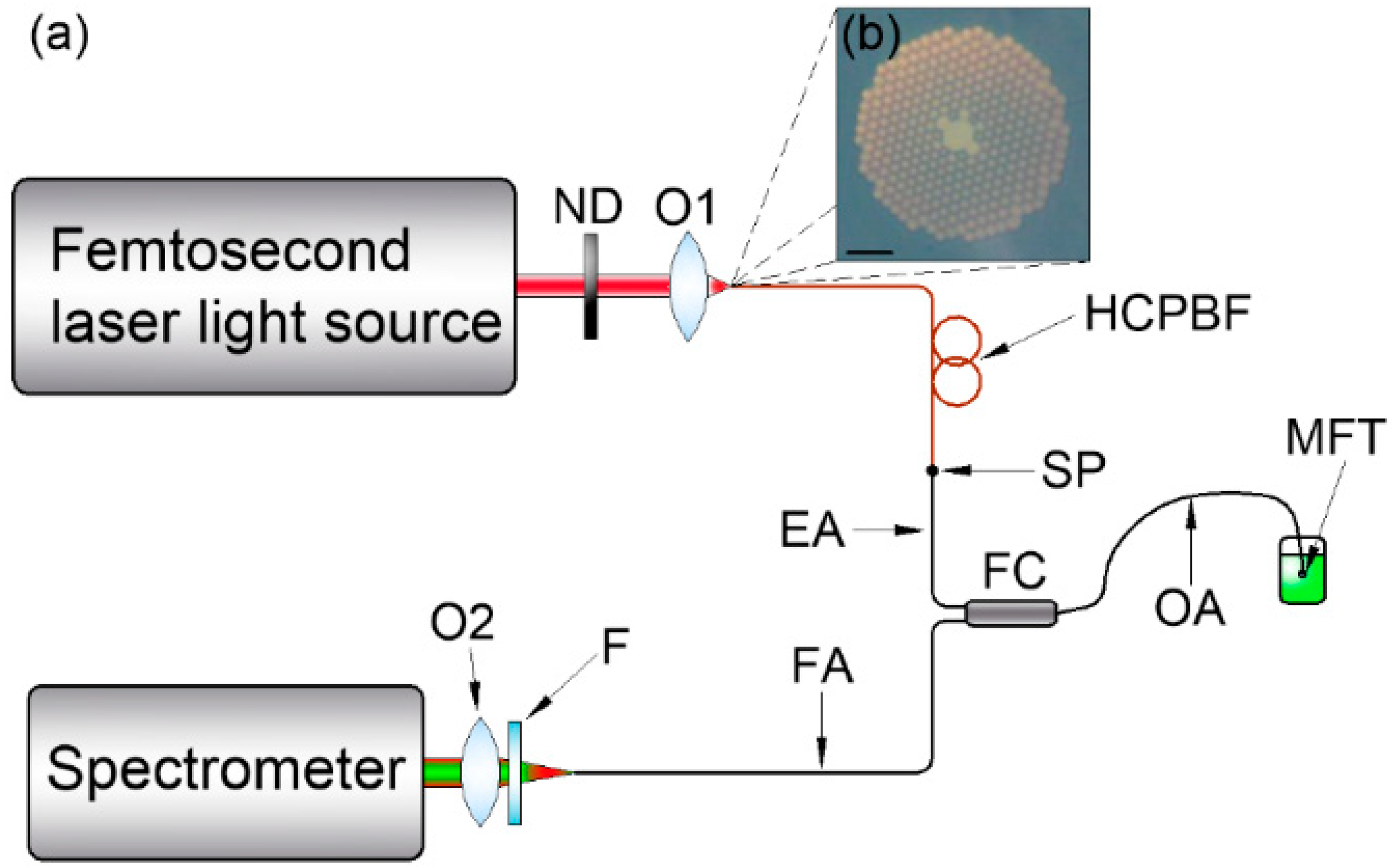 Fibers Free Full Text Combining Hollow Core Photonic