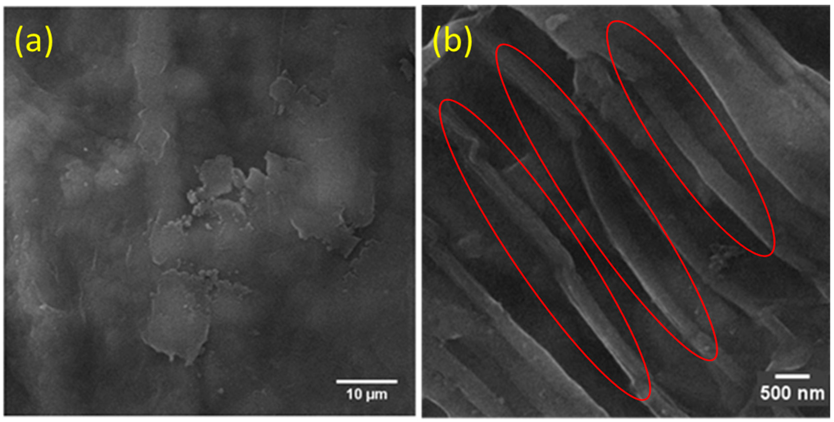 Fibers 06 00079 g002