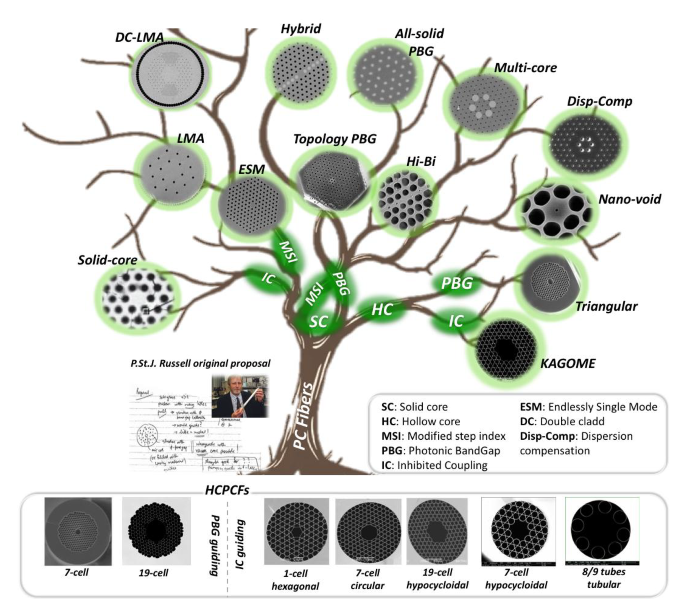 Fibers 07 00016 g002 Fibers 07 00016 g002