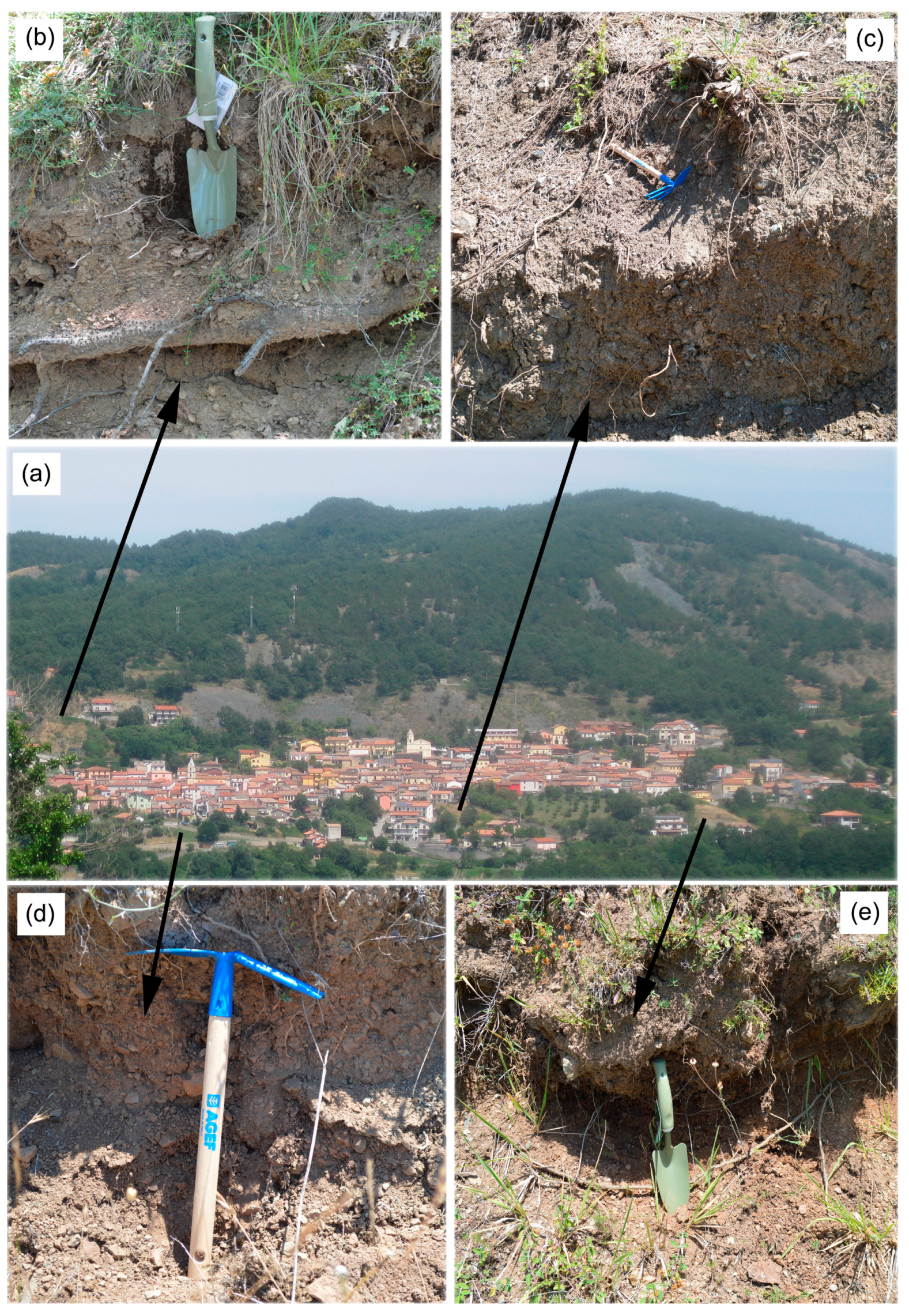 Fibers 07 00018 g002 Fibers 07 00018 g002