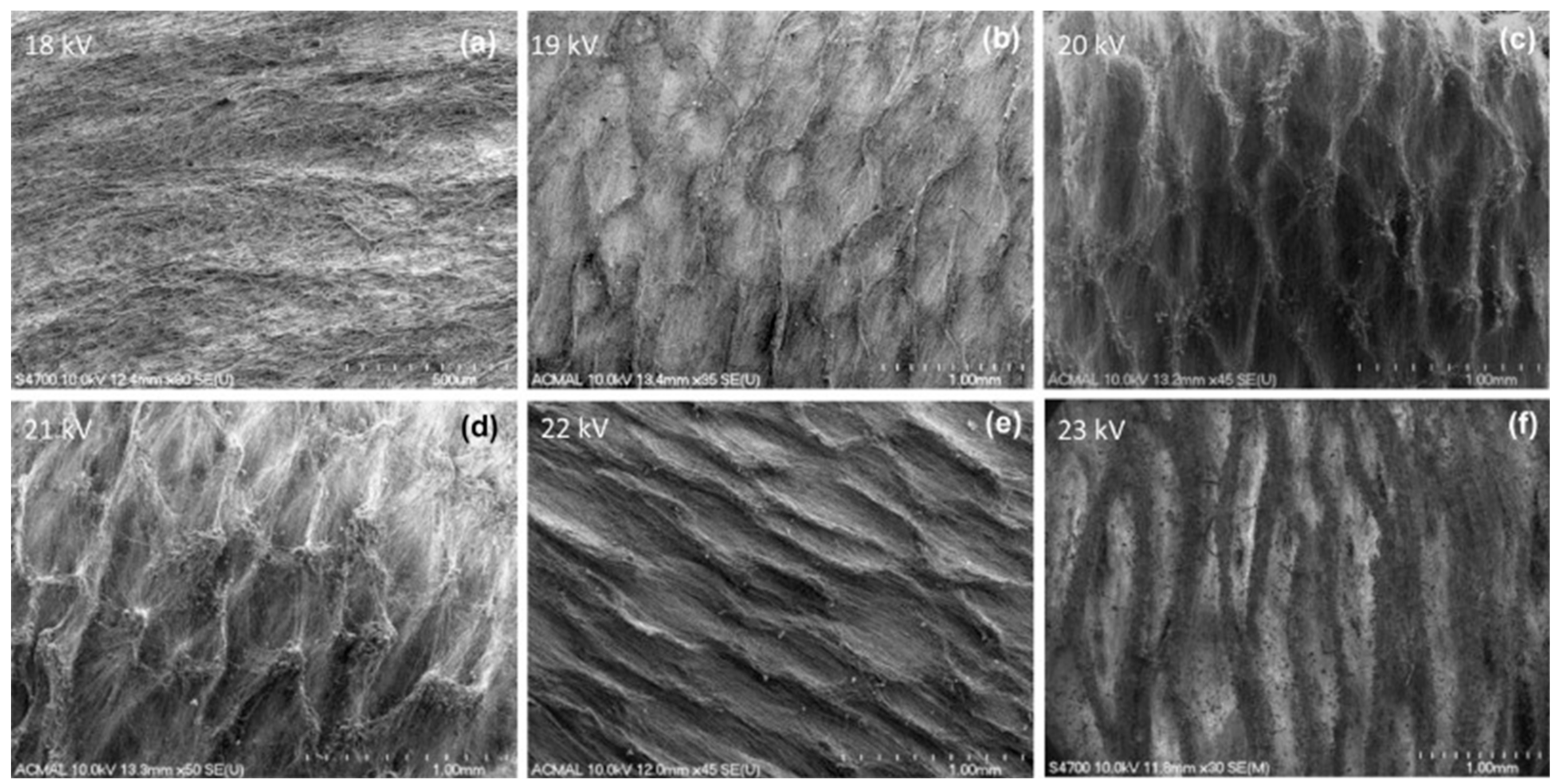 Fibers Free Full Text Multi Functional Electrospun Nanofibers From Polymer Blends For Scaffold Tissue Engineering Html