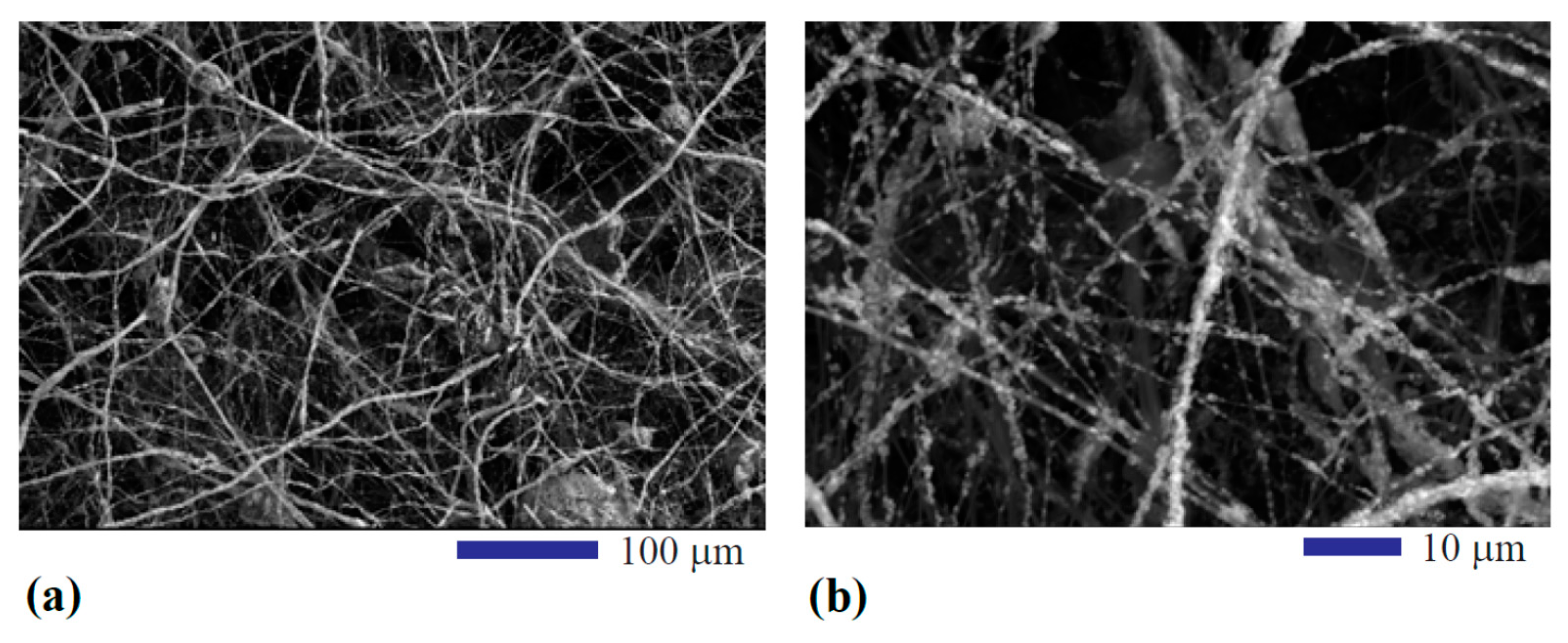 Fibers 07 00074 g002