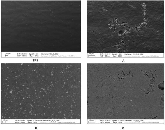 Fibers | Special Issue : Plant Fibers