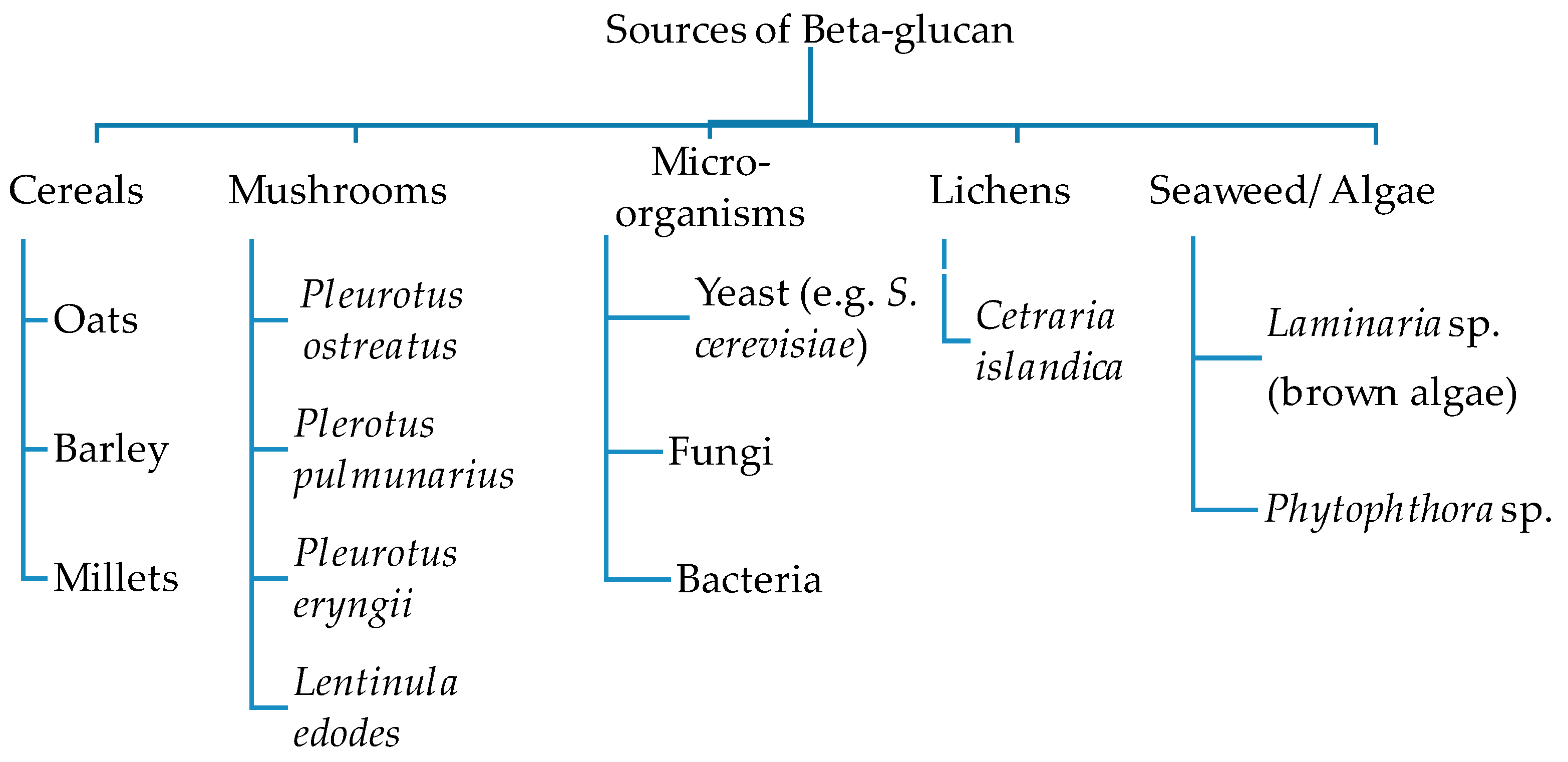 Fibers 08 00001 g002 Fibers 08 00001 g002