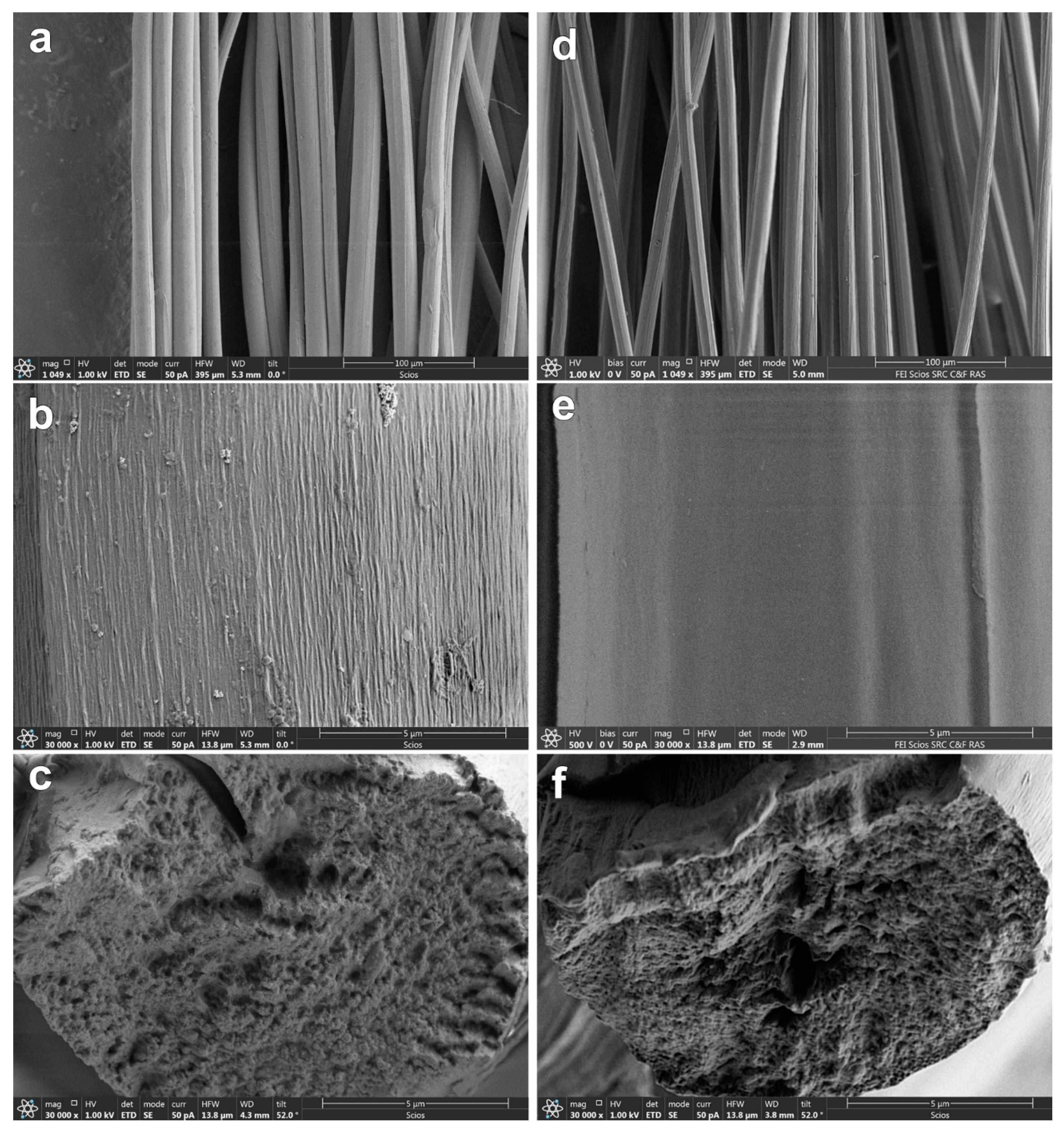 Fibers Free Full Text The Effect Of Alcohol Precipitants On Structural And Morphological Features And Thermal Properties Of Lyocell Fibers Html