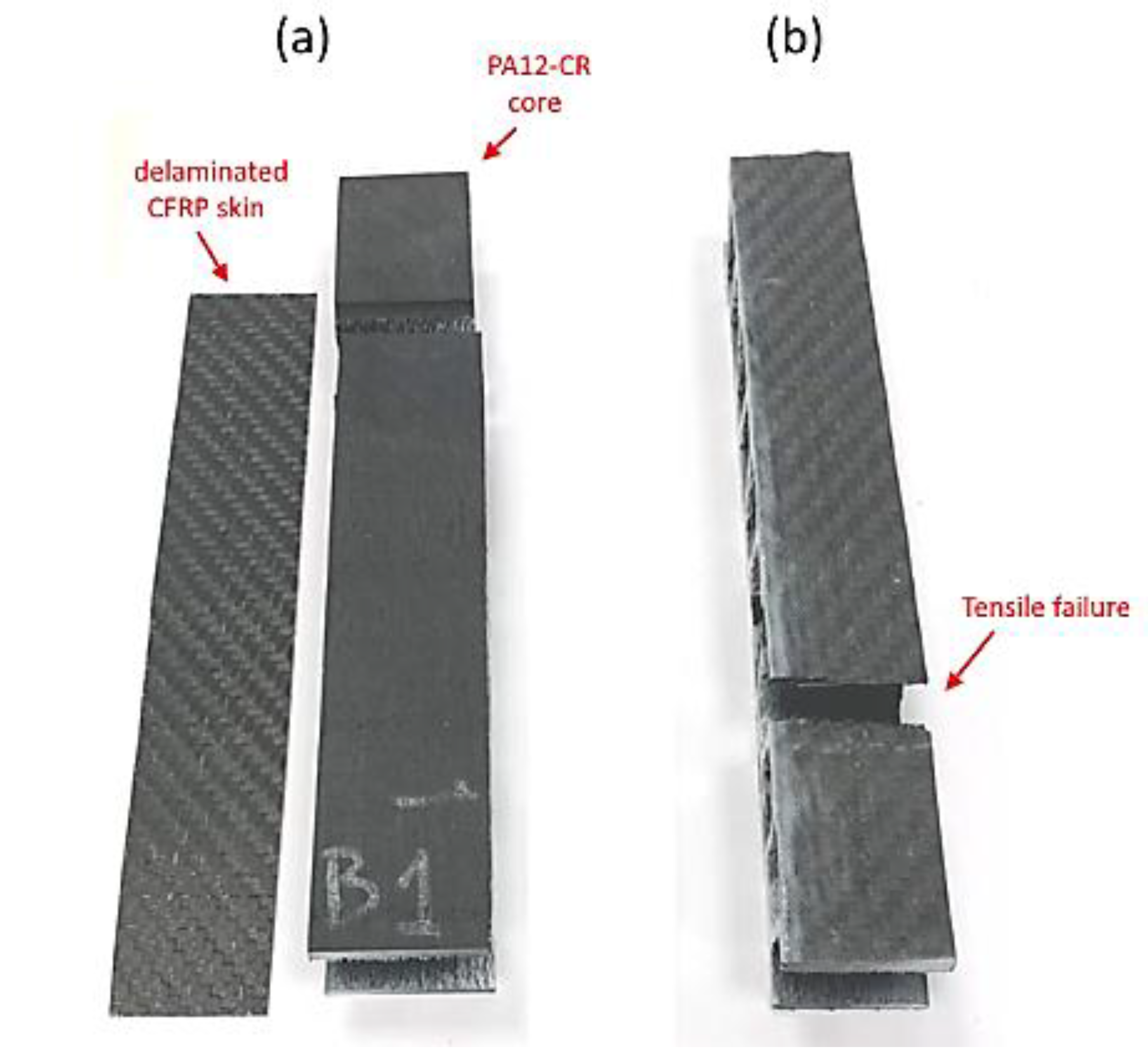 Fibers 08 00048 g011