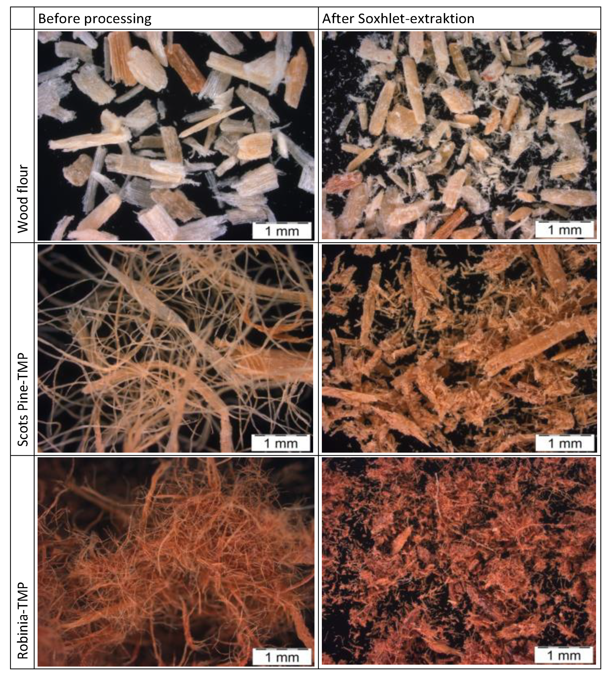 Fibers 09 00017 g013 Fibers 09 00017 g013