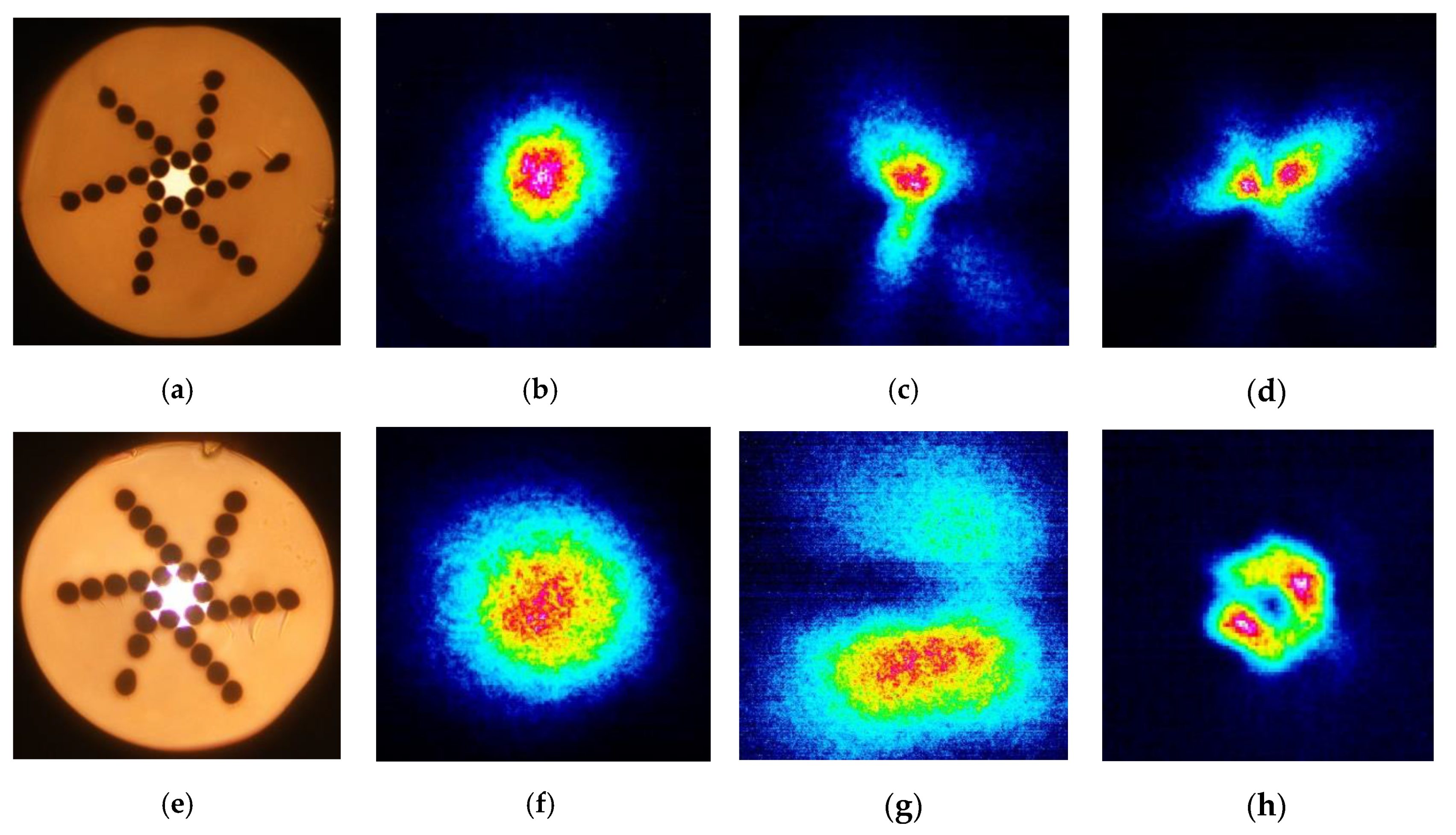 Fibers 09 00027 g005 Fibers 09 00027 g005