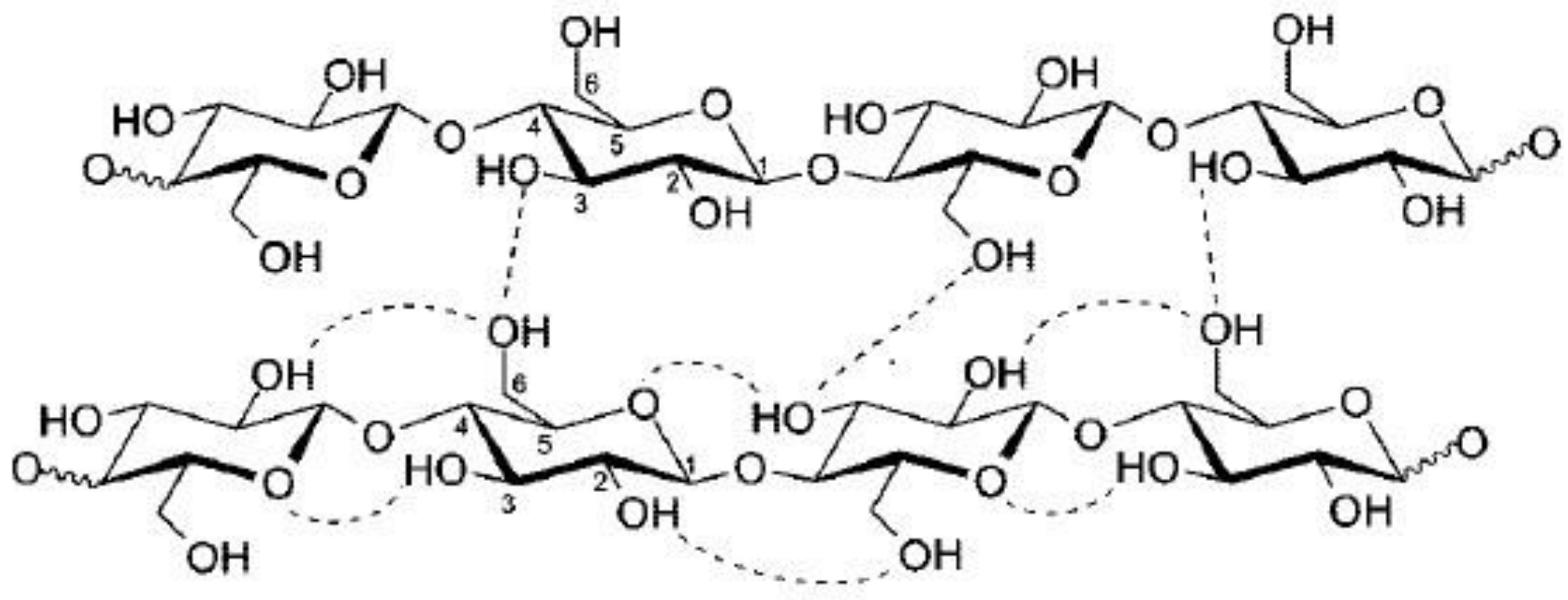 Fibers 09 00054 g002