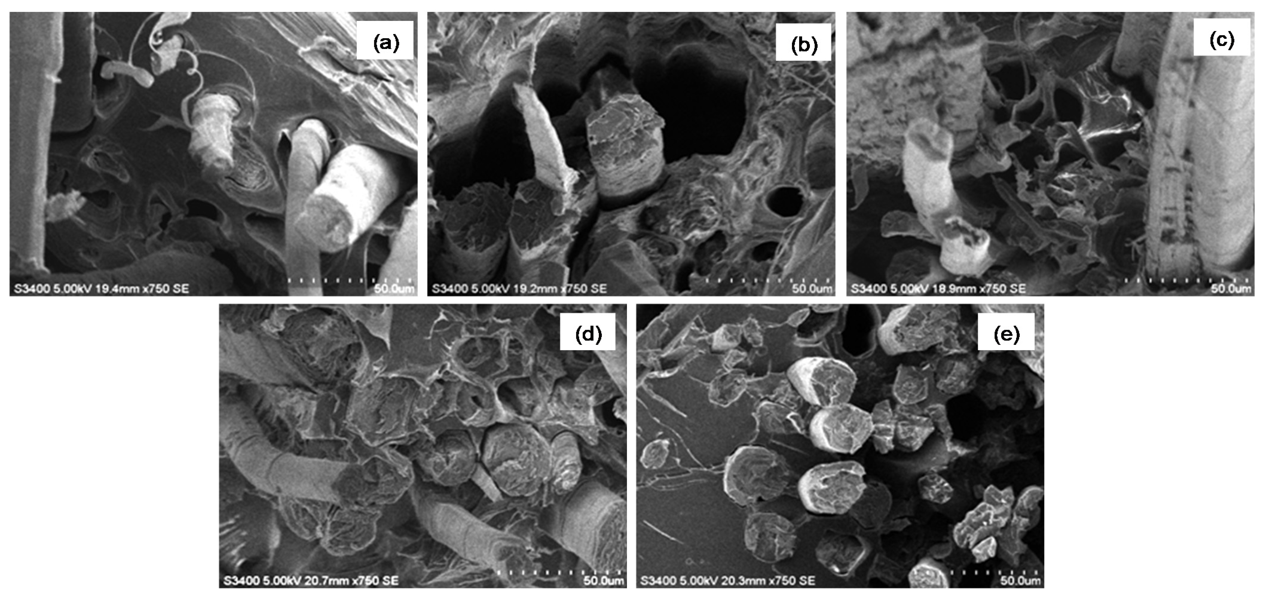Fibers 10 00002 g010