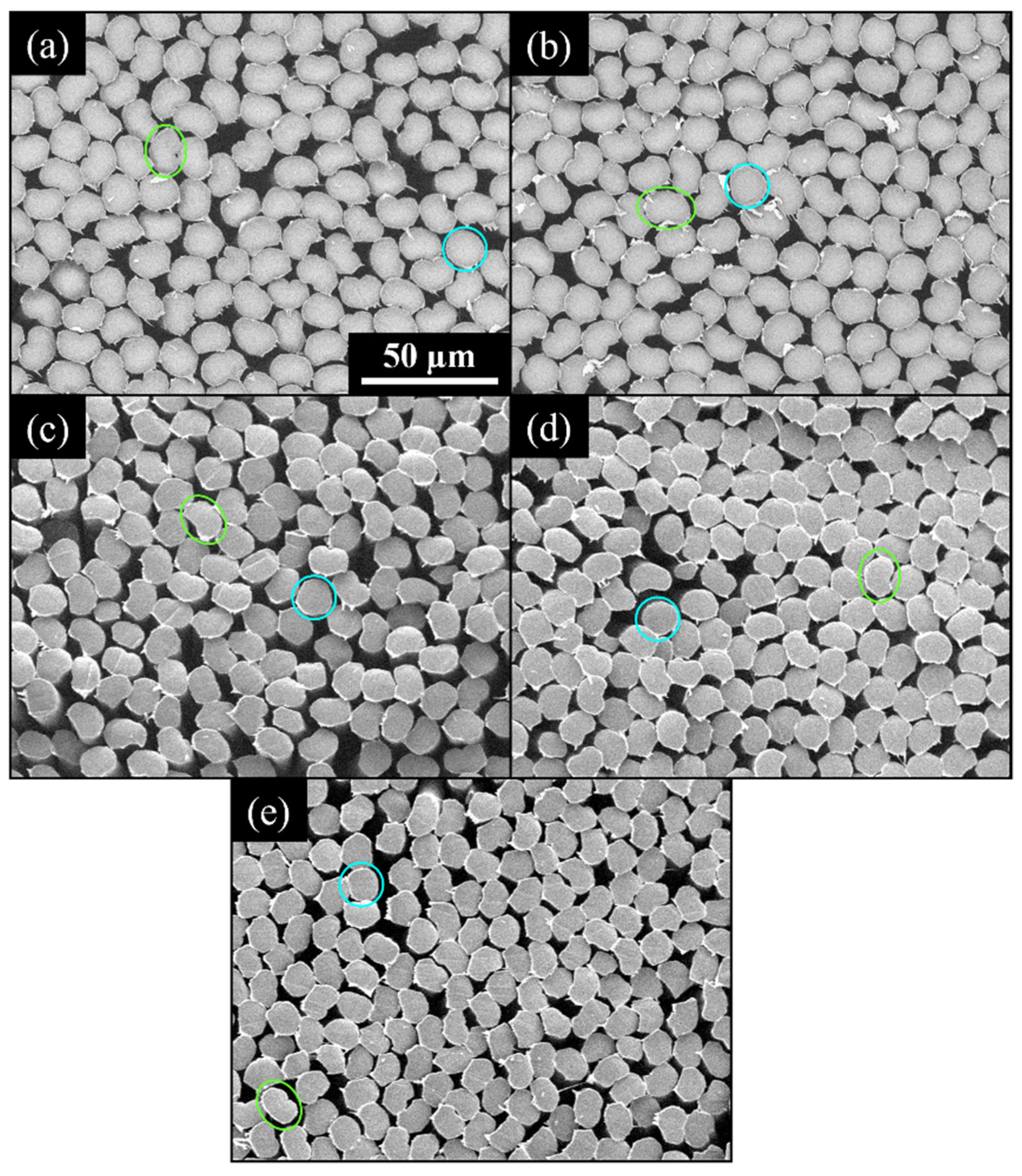 Fibers 10 00054 g003