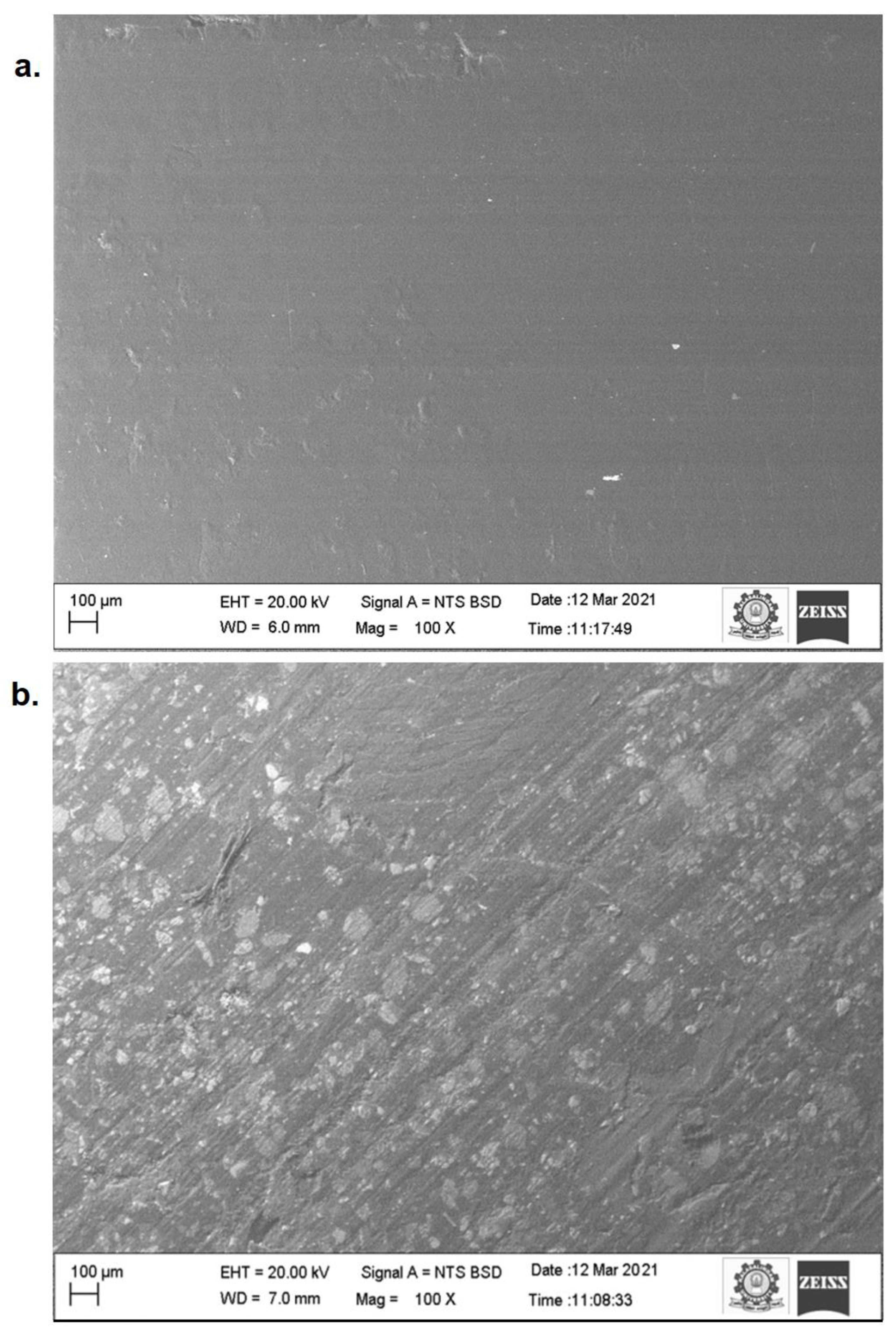 Fibers 10 00060 g004