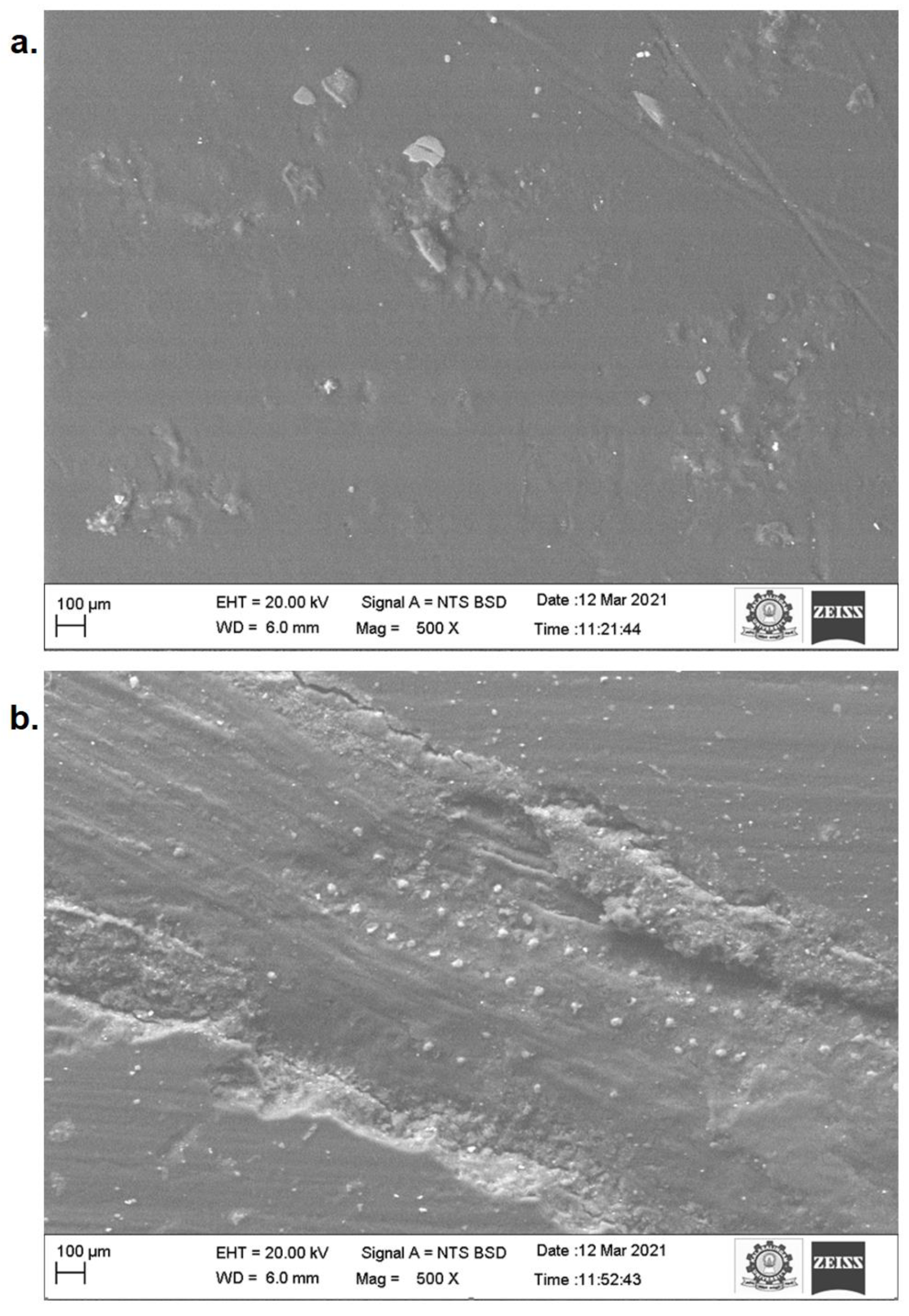 Fibers 10 00060 g005