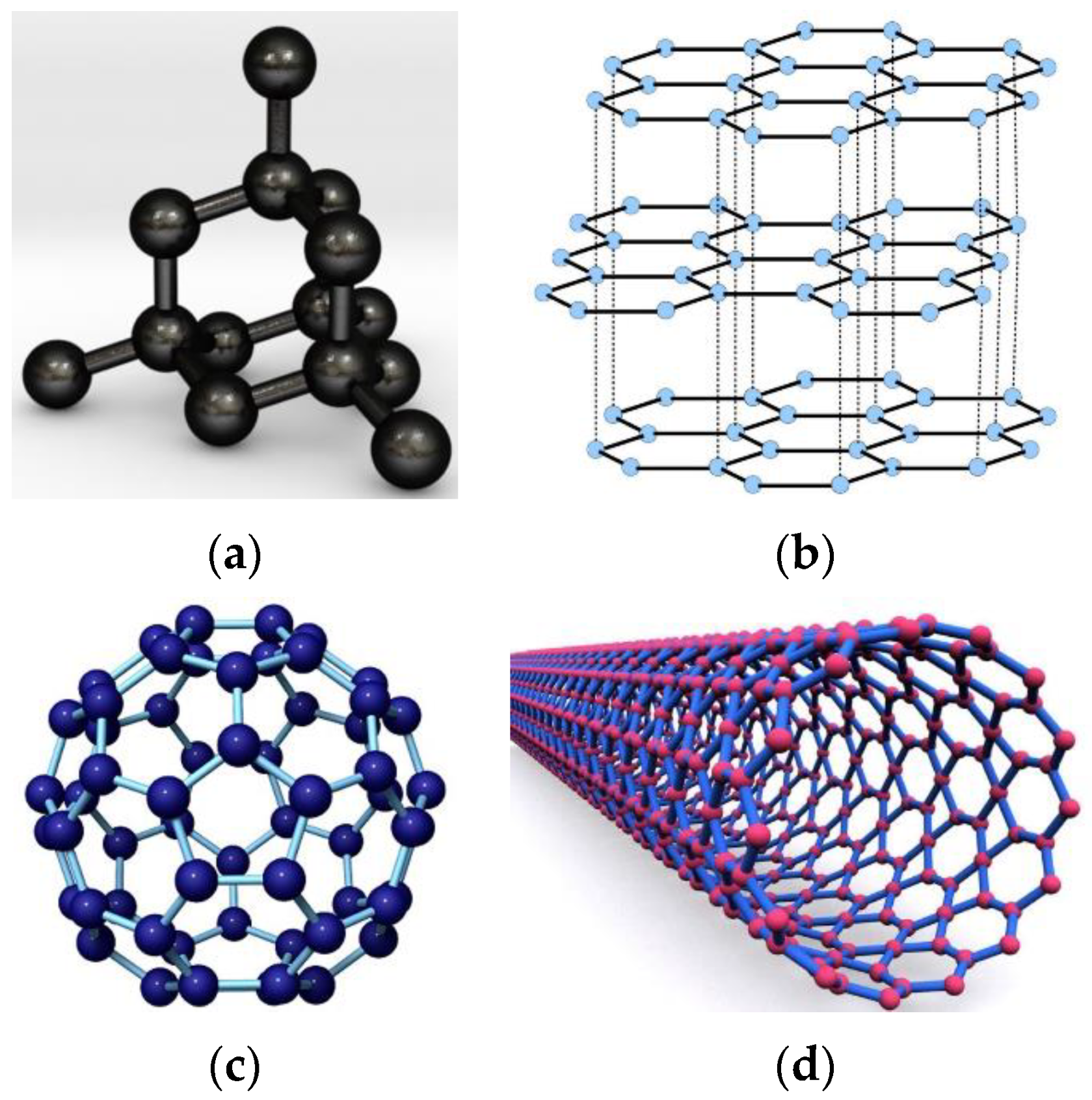 Fibers | Free Full-Text | Nanotubes: Carbon-Based Fibers and Bacterial ...