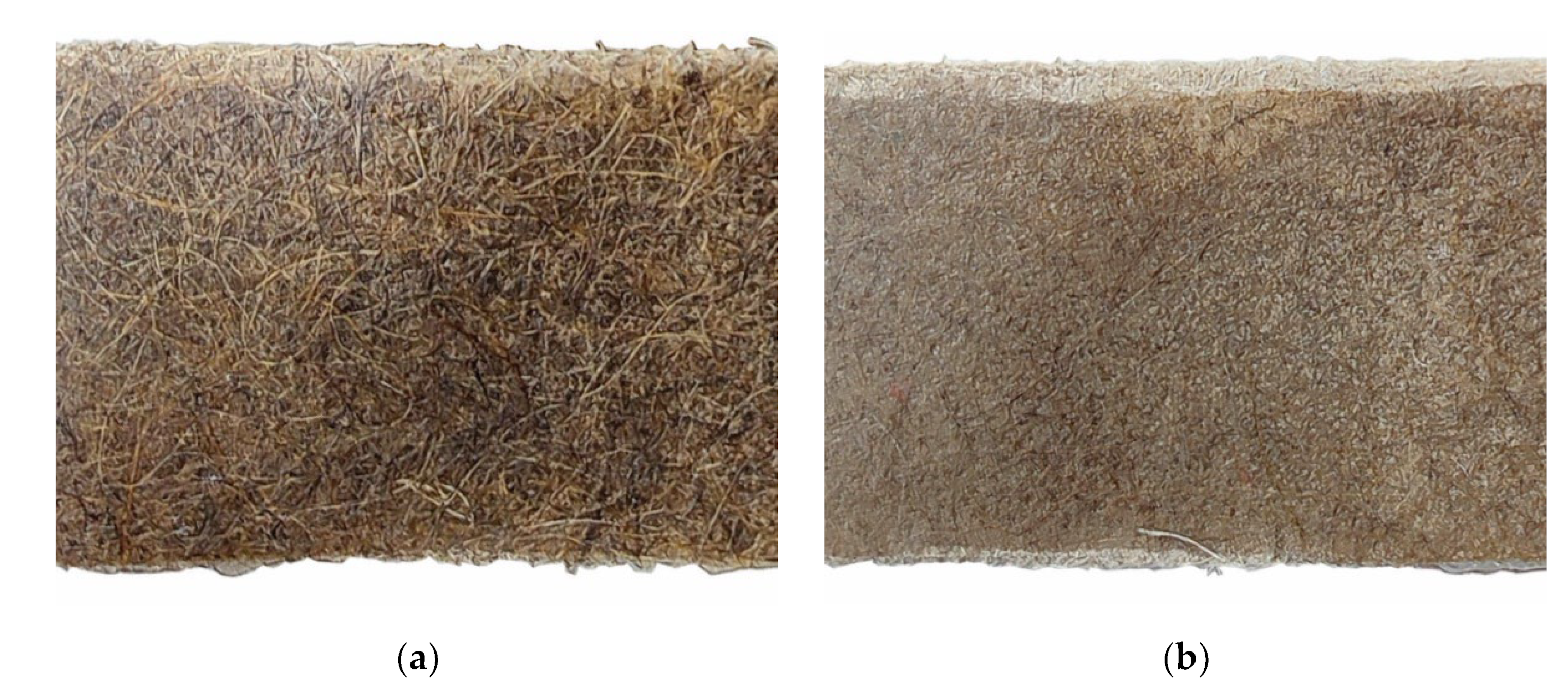 Fibers 10 00079 g003