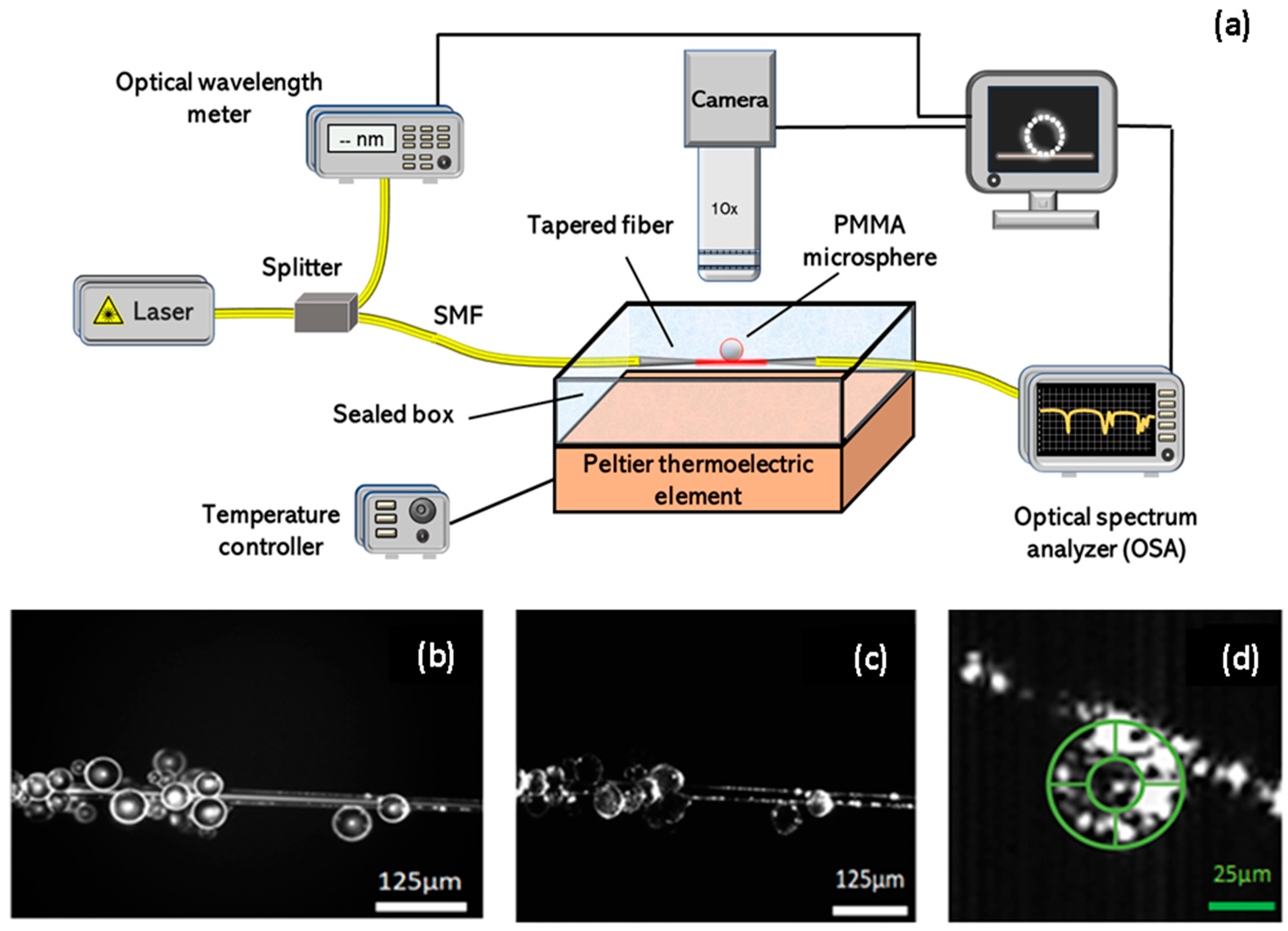 Fibers 10 00090 g001