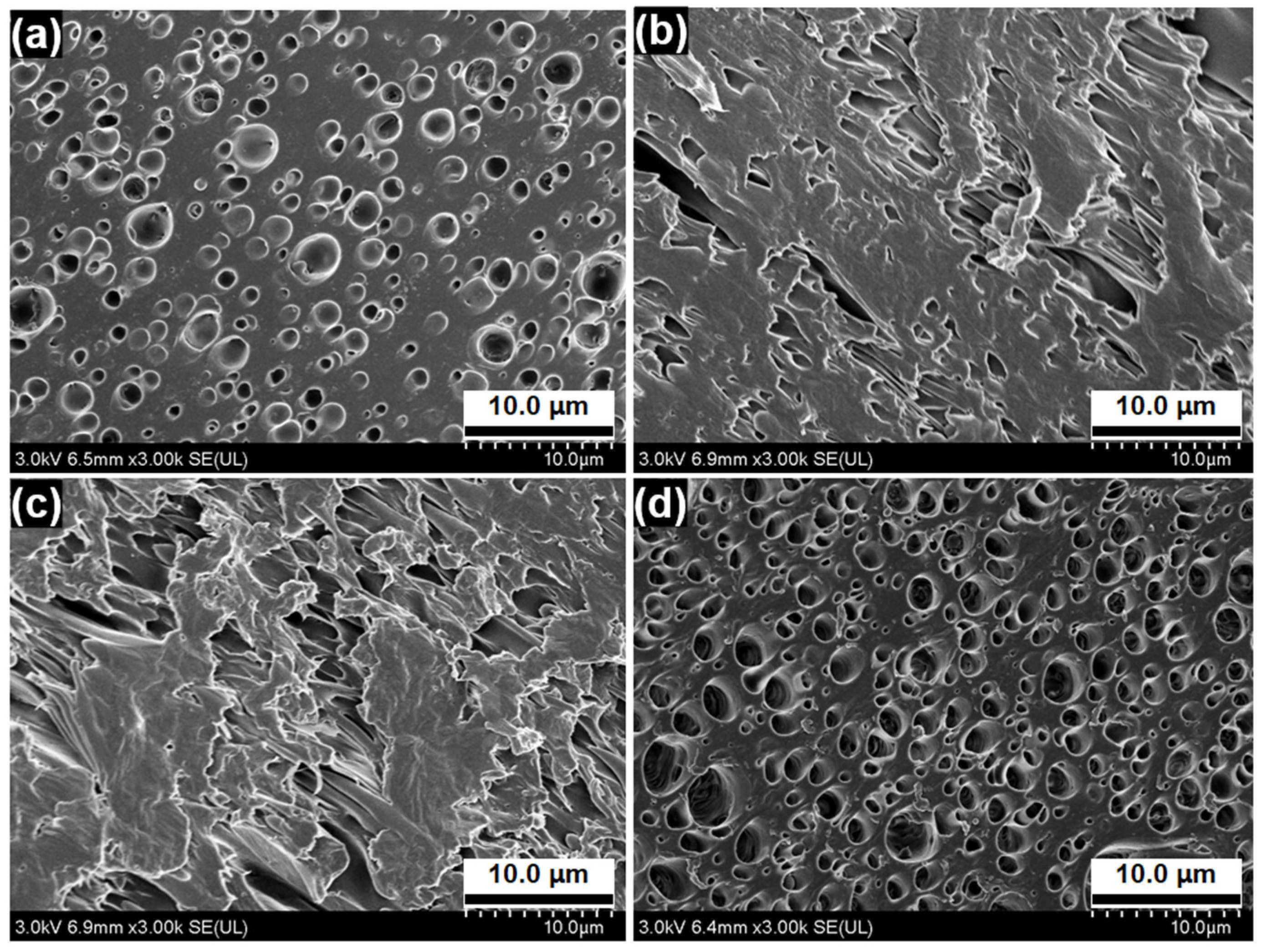 Fibers 10 00095 g005
