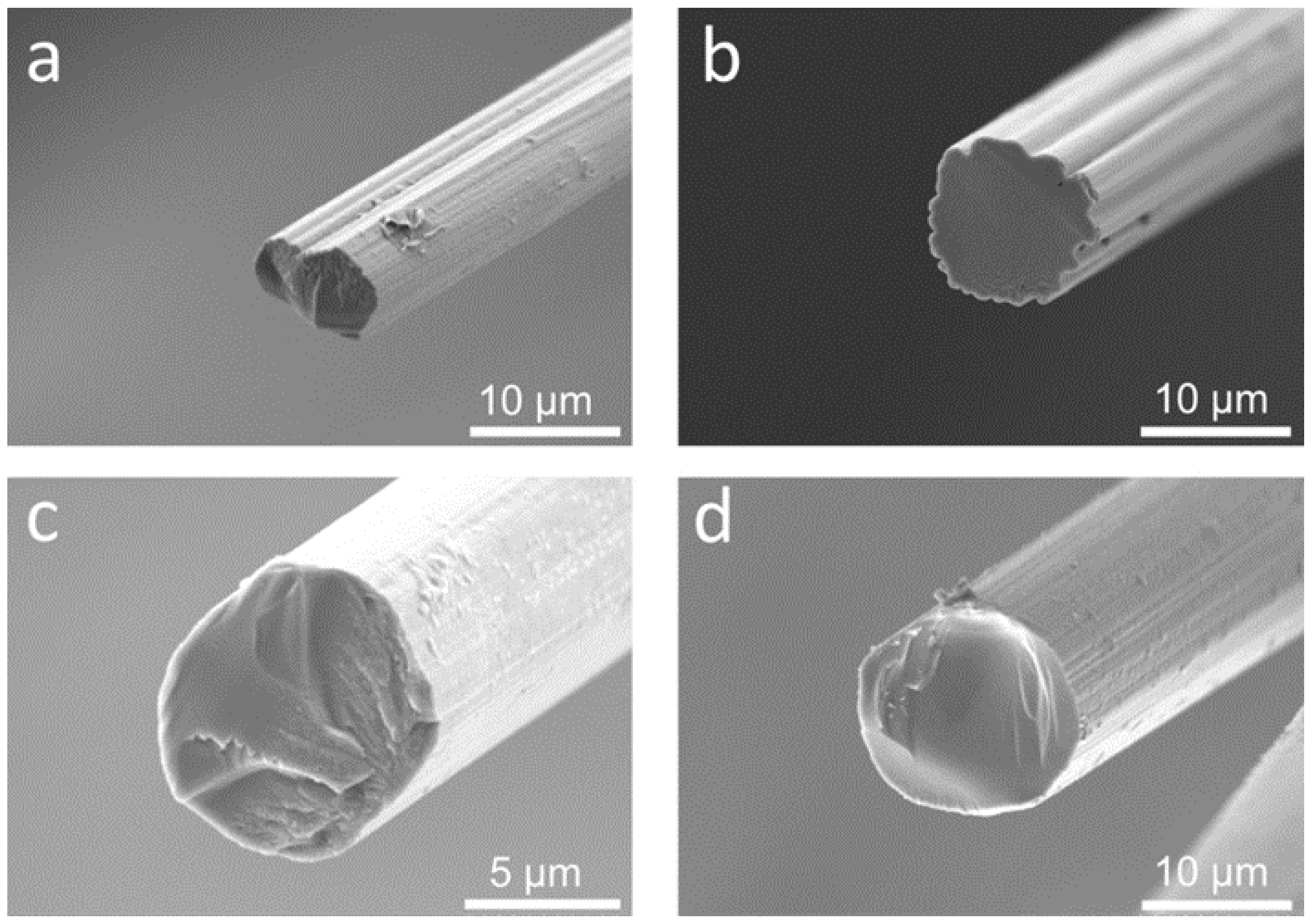 Fibers 10 00108 g009 Fibers 10 00108 g009