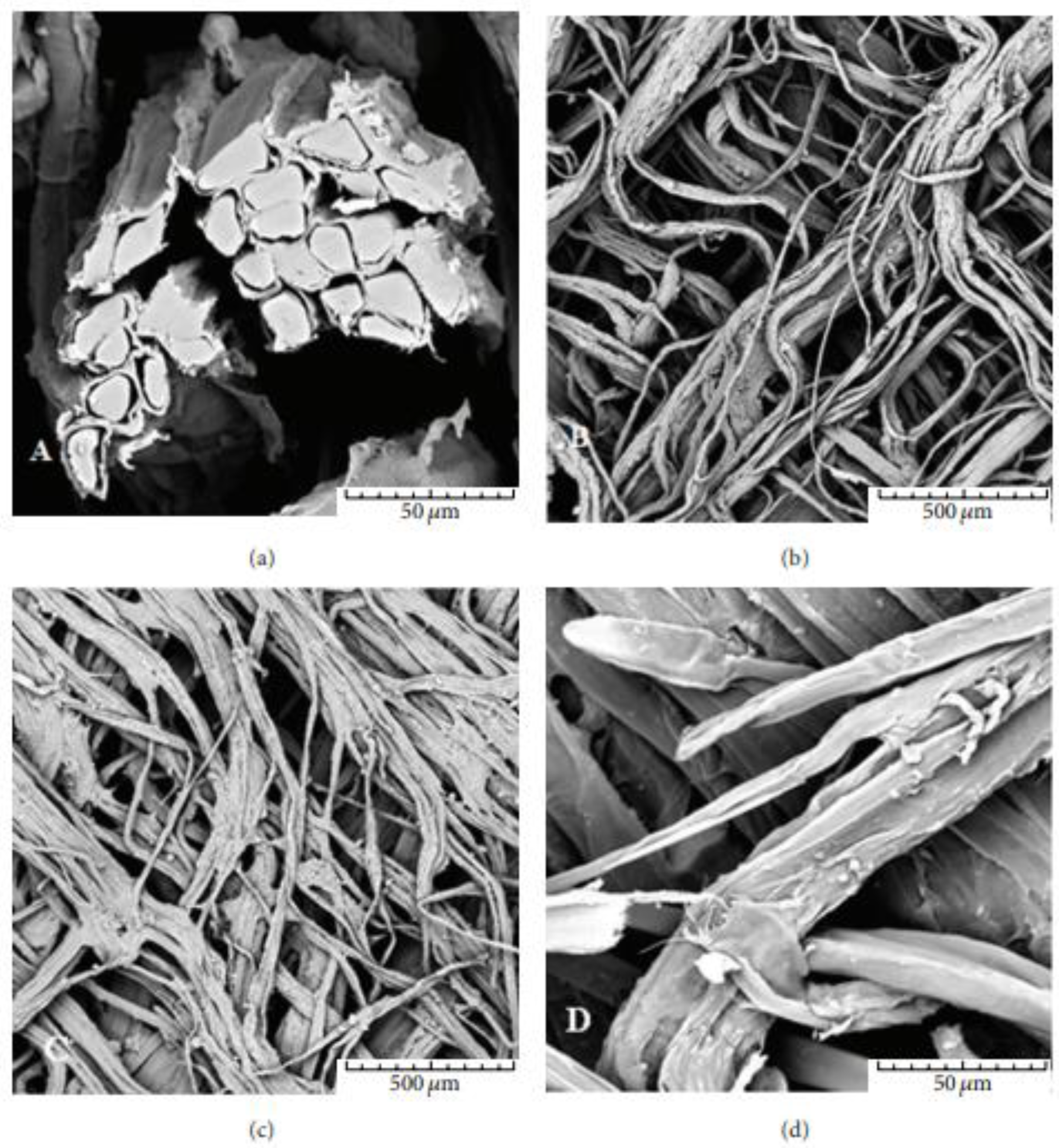 Fibers 11 00013 g002
