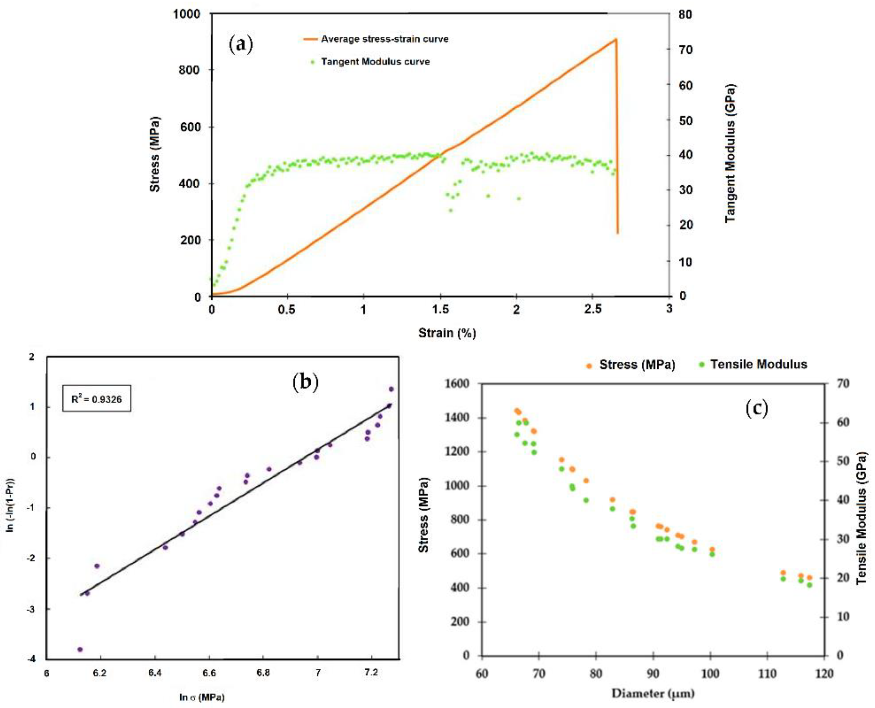 Fibers 11 00013 g005