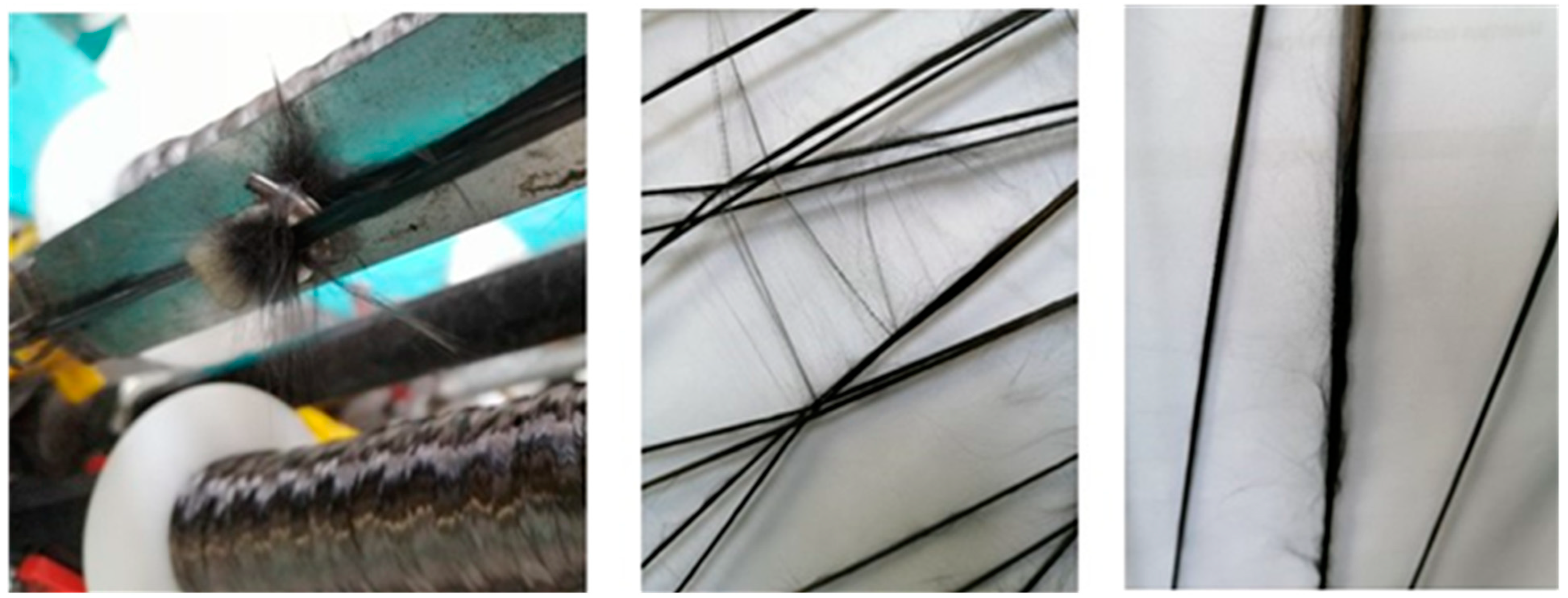 Fibers 11 00030 g011