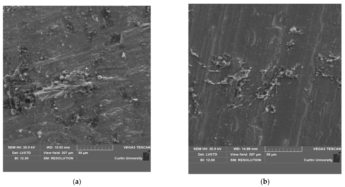 Fibers 11 00031 g013 Fibers 11 00031 g013