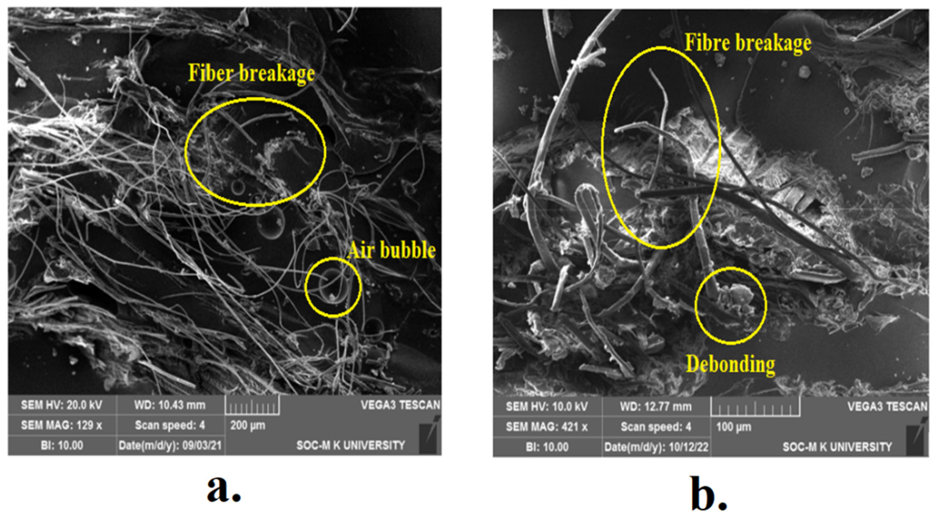 Fibers 11 00063 g009 Fibers 11 00063 g009