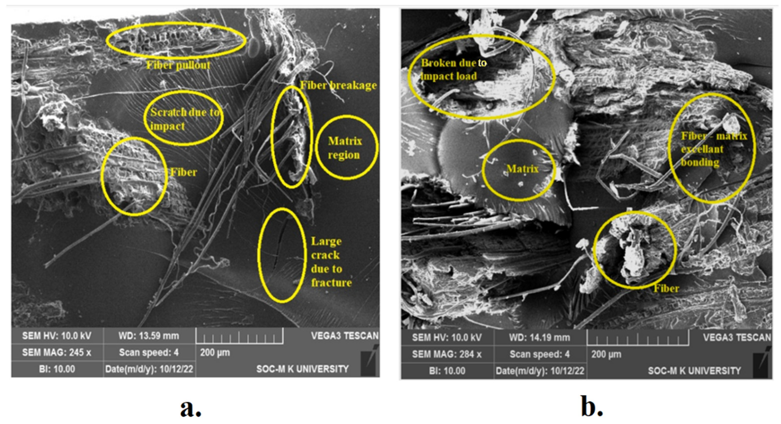 Fibers 11 00063 g011 Fibers 11 00063 g011