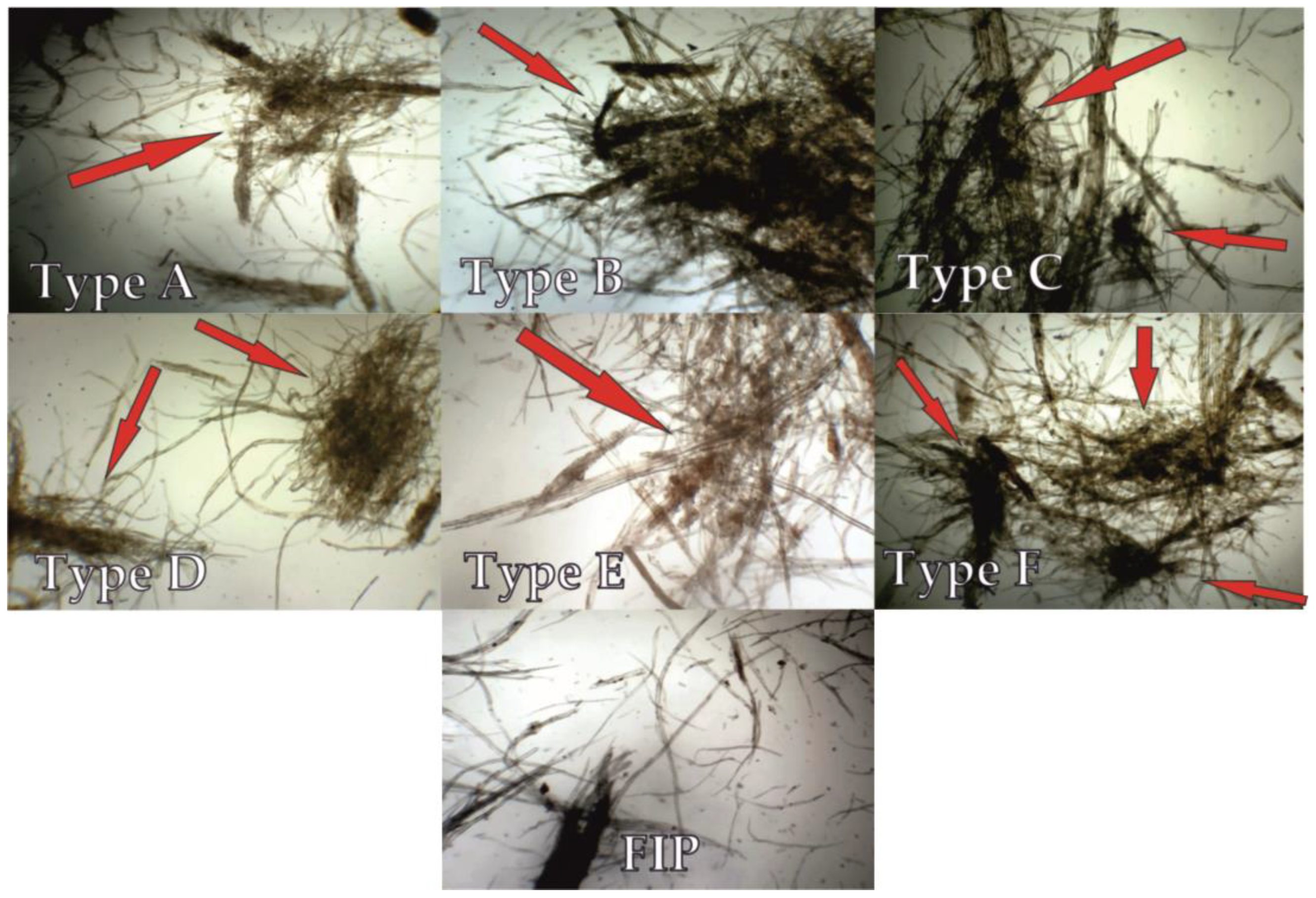 Fibers 11 00064 g005
