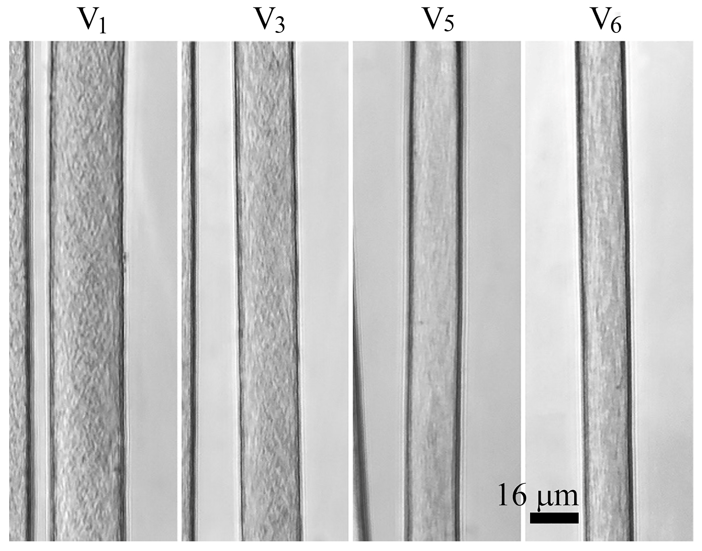 Fibers 11 00065 g008