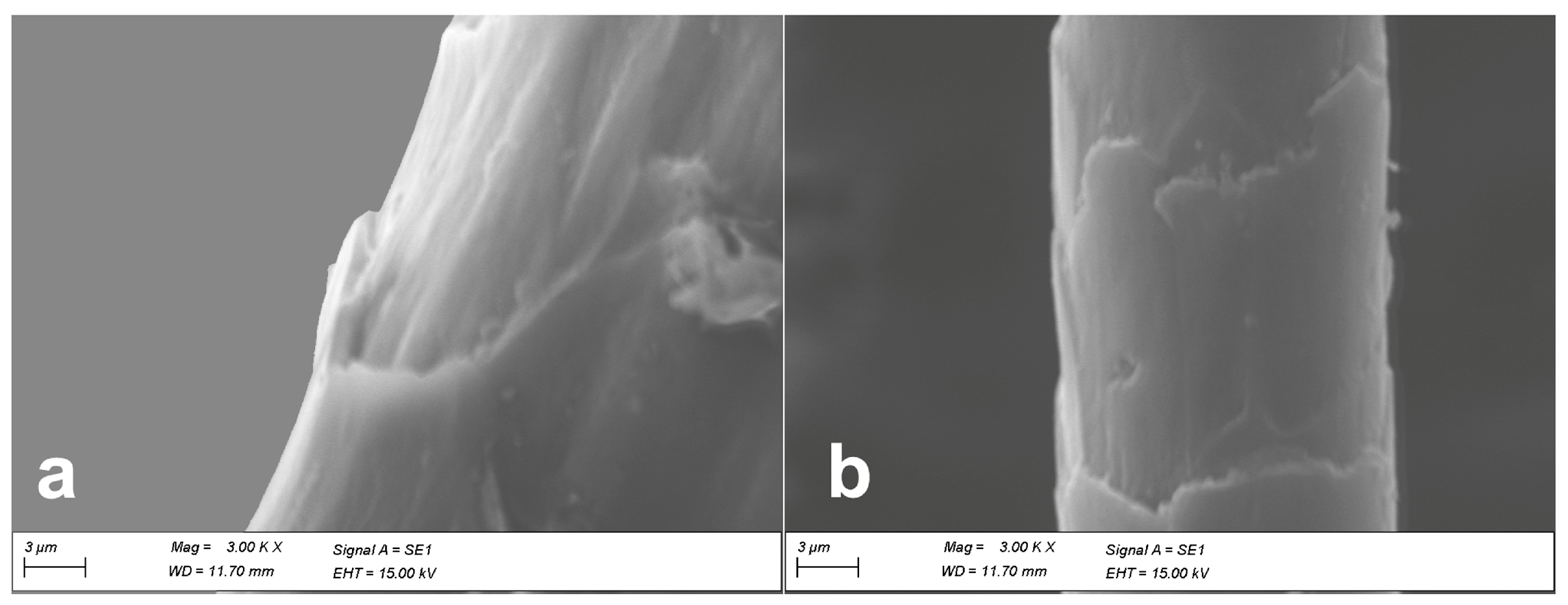 Fibers 11 00067 g003