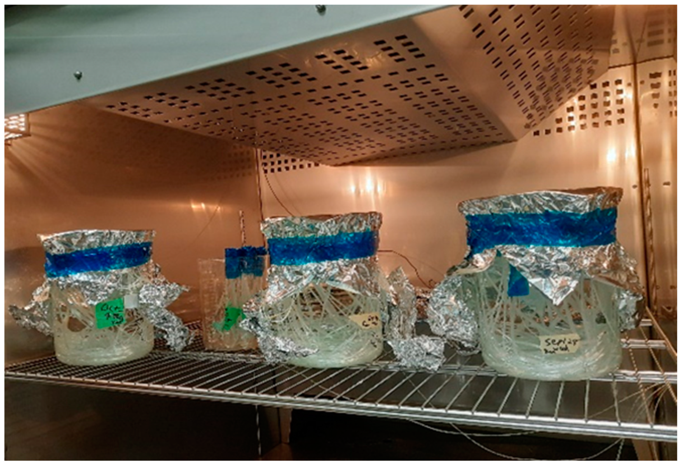 Fibers 11 00070 g001