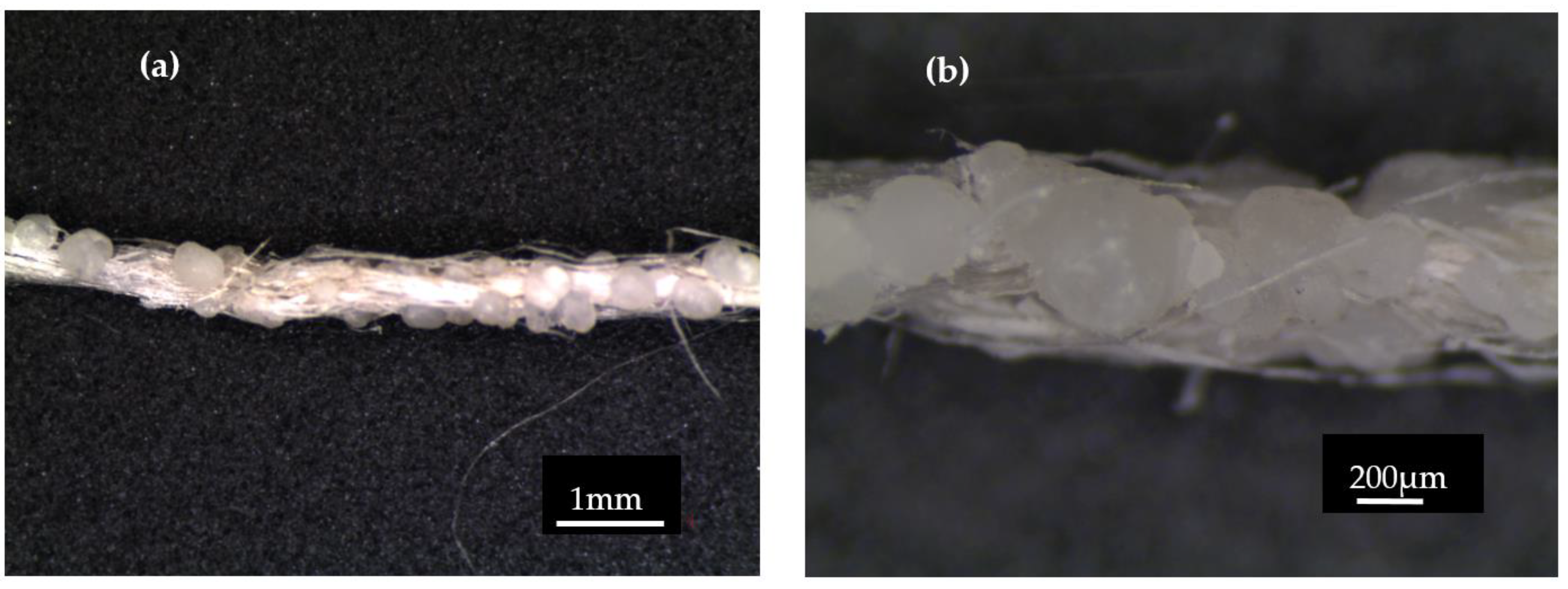 Fibers 11 00088 g003