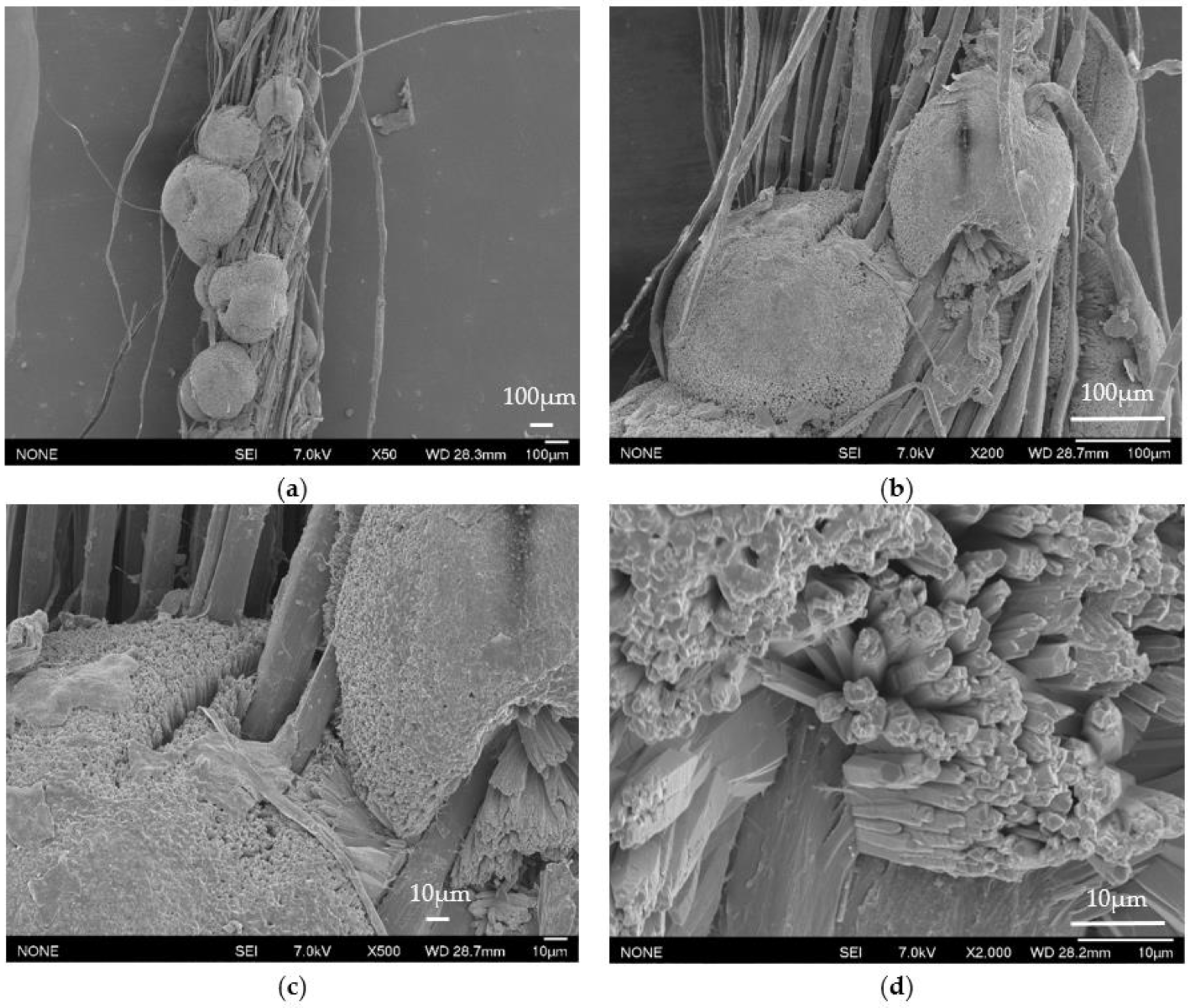 Fibers 11 00088 g004