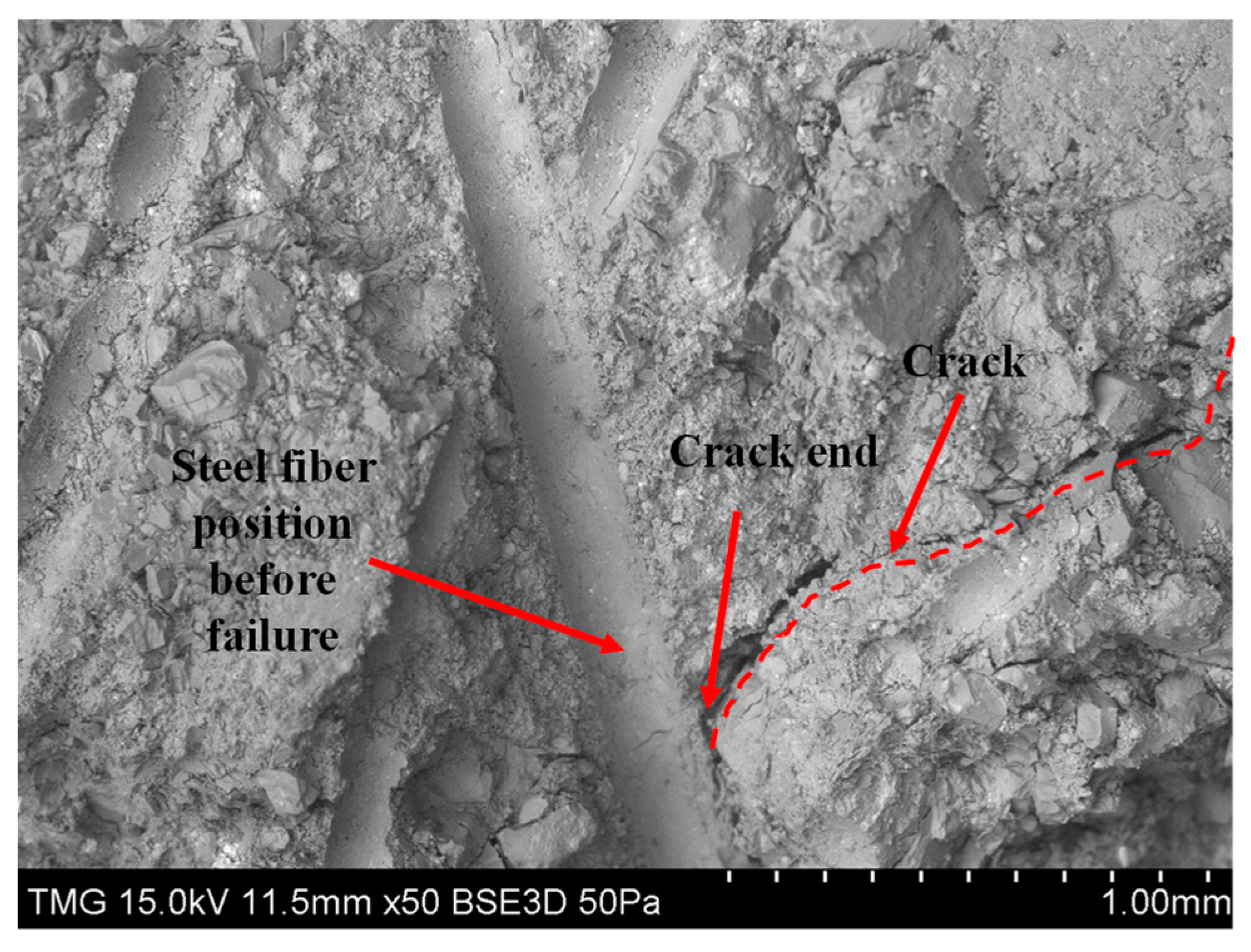 Fibers 11 00094 g007