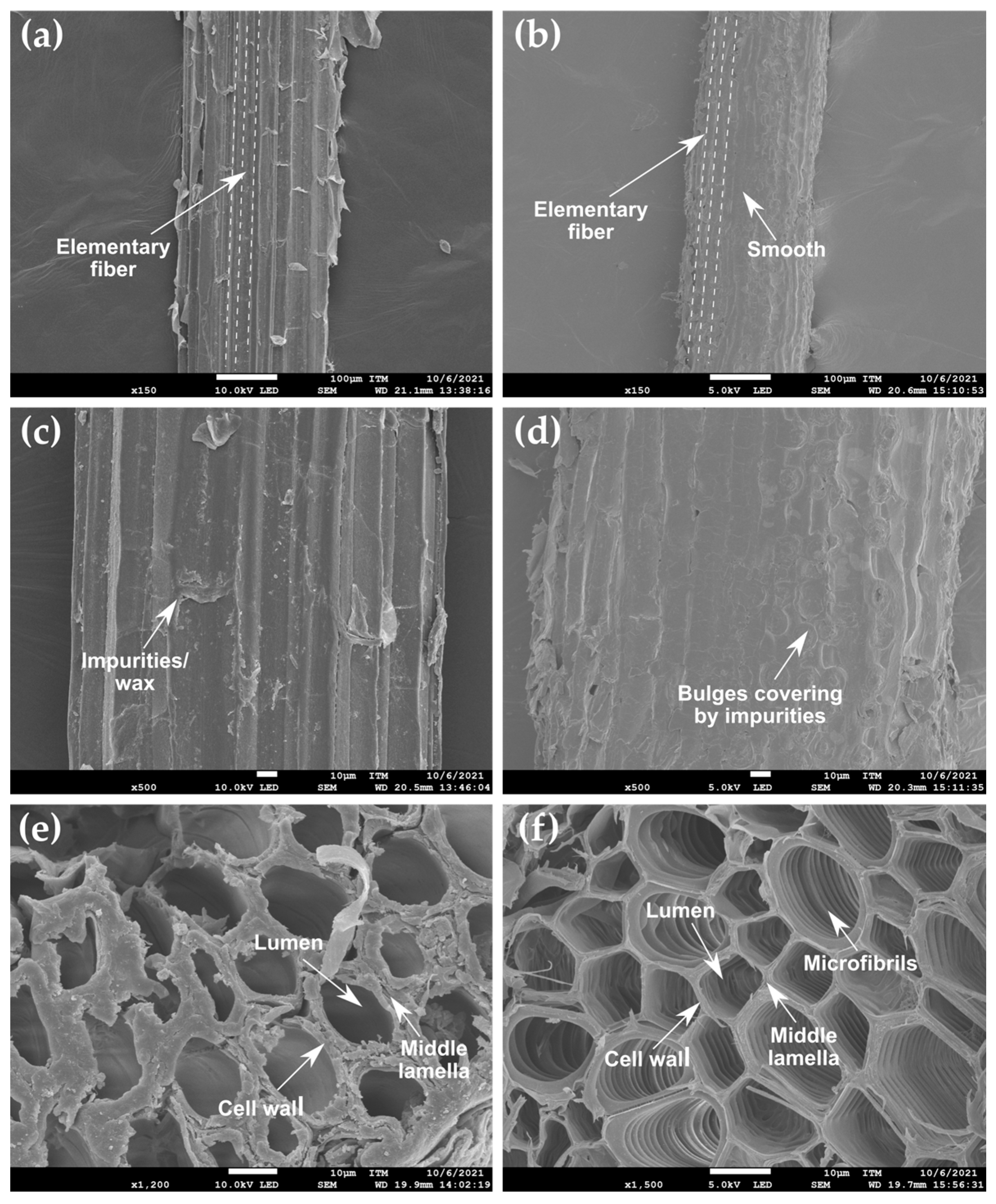 Fibers 12 00006 g006
