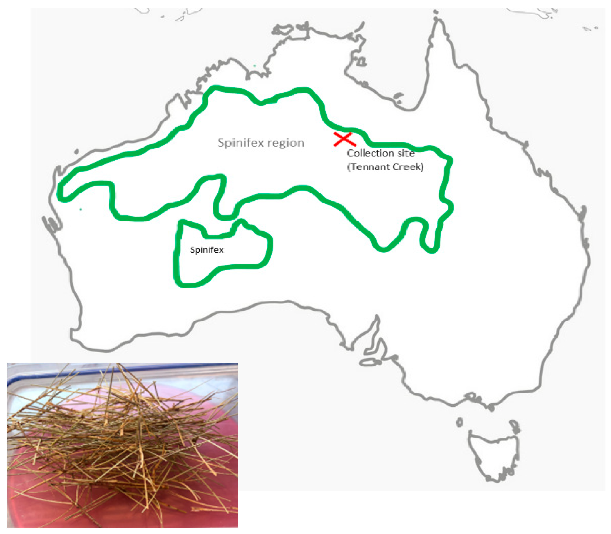 Fibers 12 00039 g001 Fibers 12 00039 g001