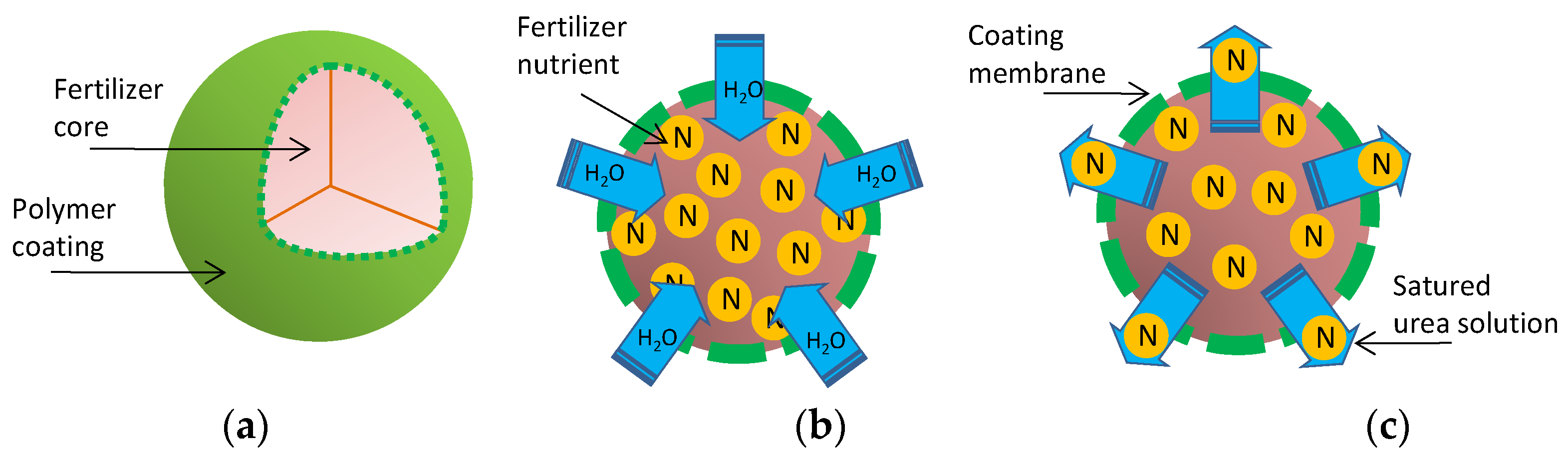 Fibers 12 00064 g001