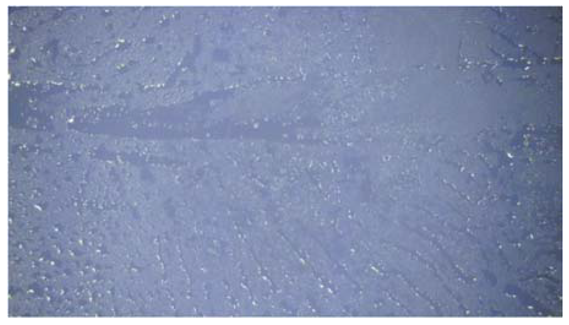 Fibers 12 00076 g017