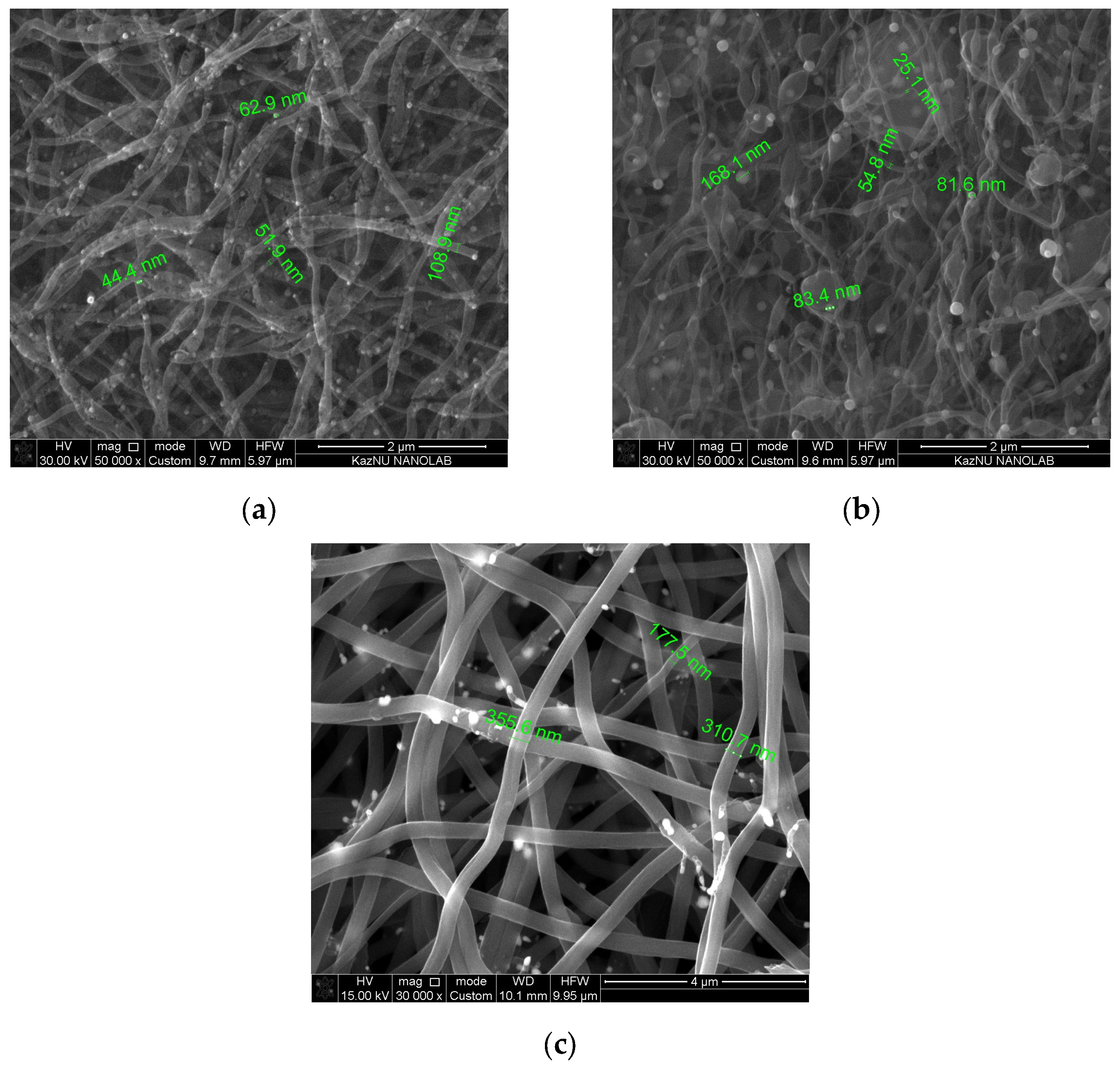 Fibers 12 00087 g006